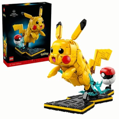 Pikachu and Poké Ball