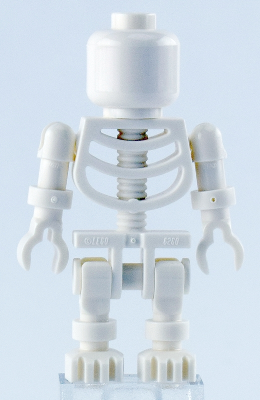 Skeleton - Plain Head
