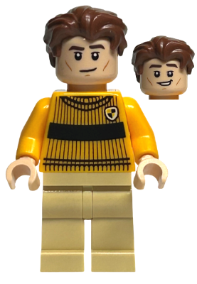 Cedric Diggory - Quidditch Sweater