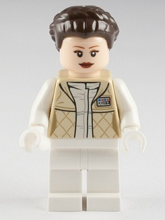Princess Leia - Hoth Outfit, Tan Jacket, Braided Hair