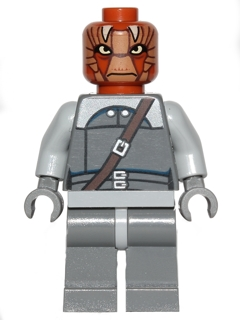 Nikto Guard