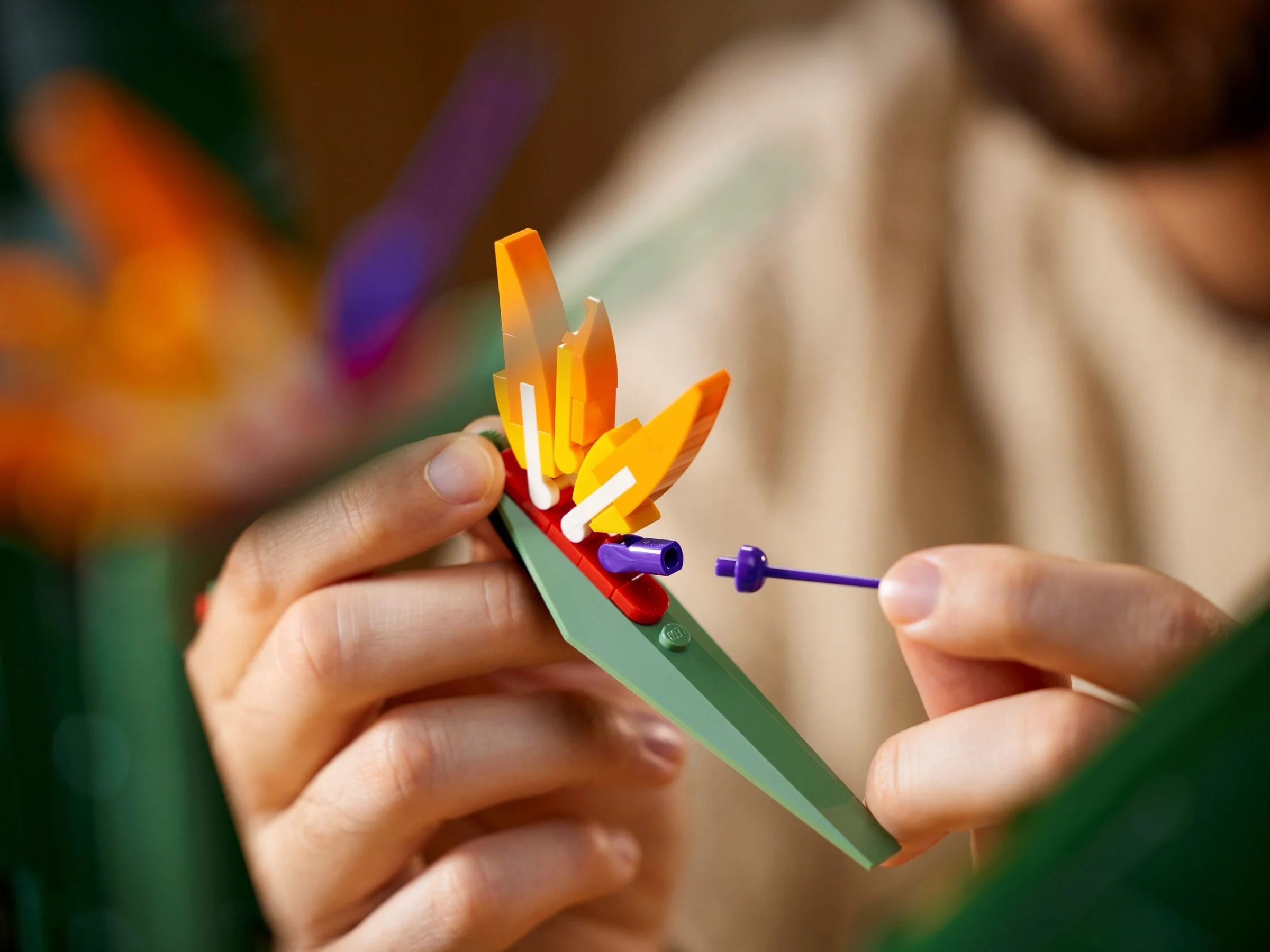 LEGO® 10289 Botanical Collection Strelicja królewska - zdjęcie 9