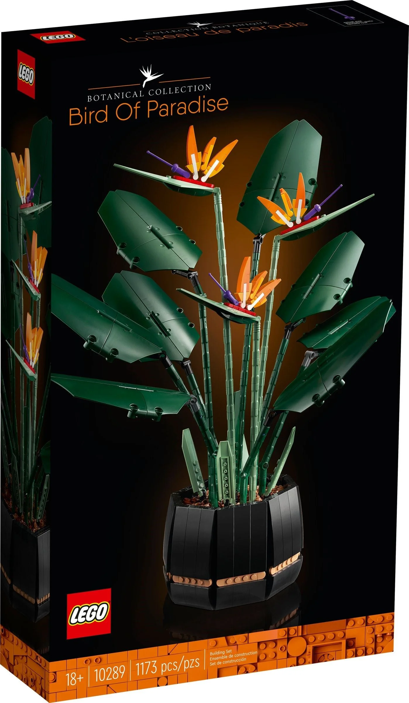 Pudełko LEGO Strelicja królewska 10289 z Botanical Collection