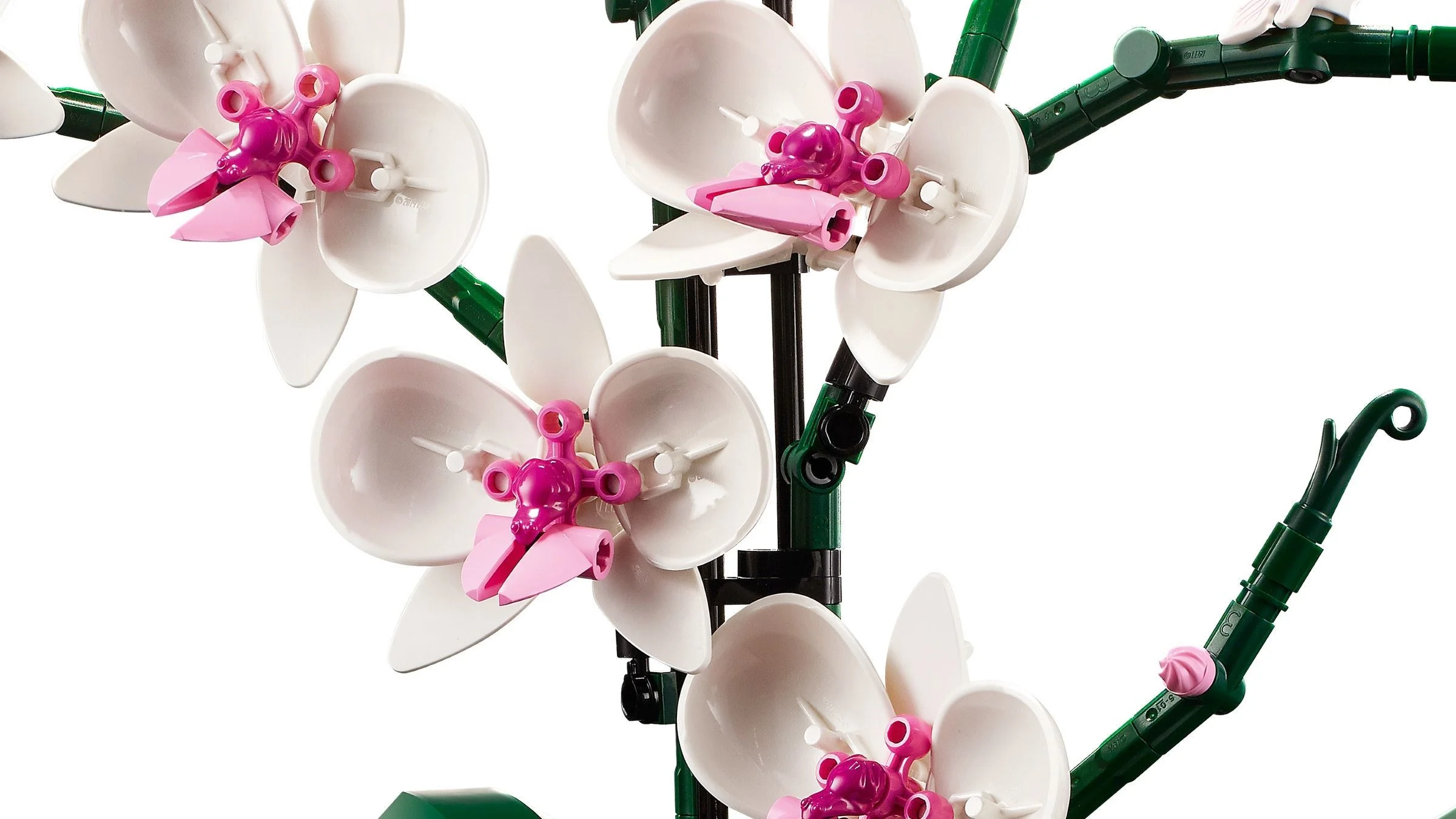 LEGO® 10311 Orchidea - zdjęcie 4