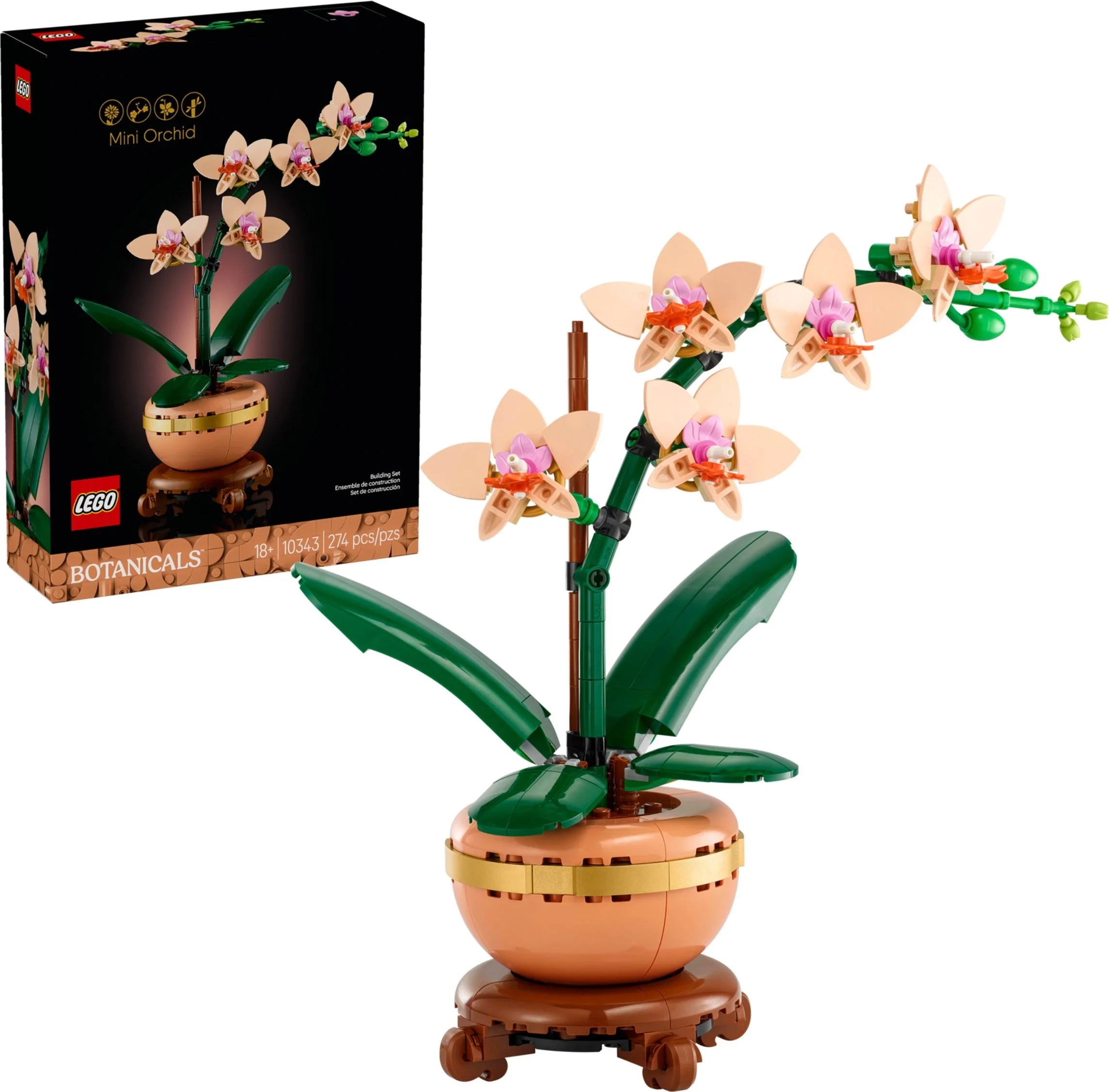 Mała orchidea