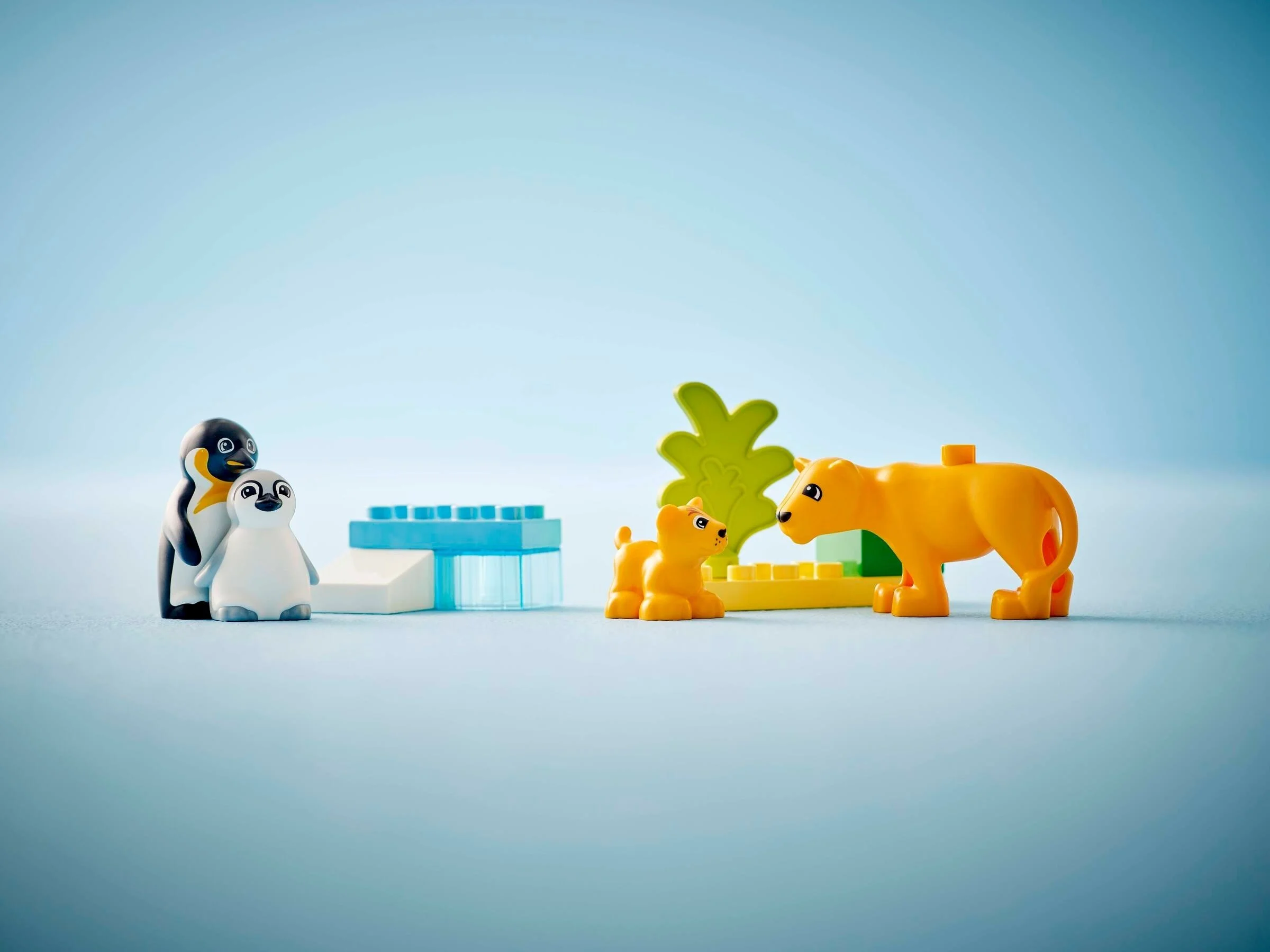 LEGO® 10442 Rodziny dzikich zwierząt: pingwiny i lwy - zdjęcie 6
