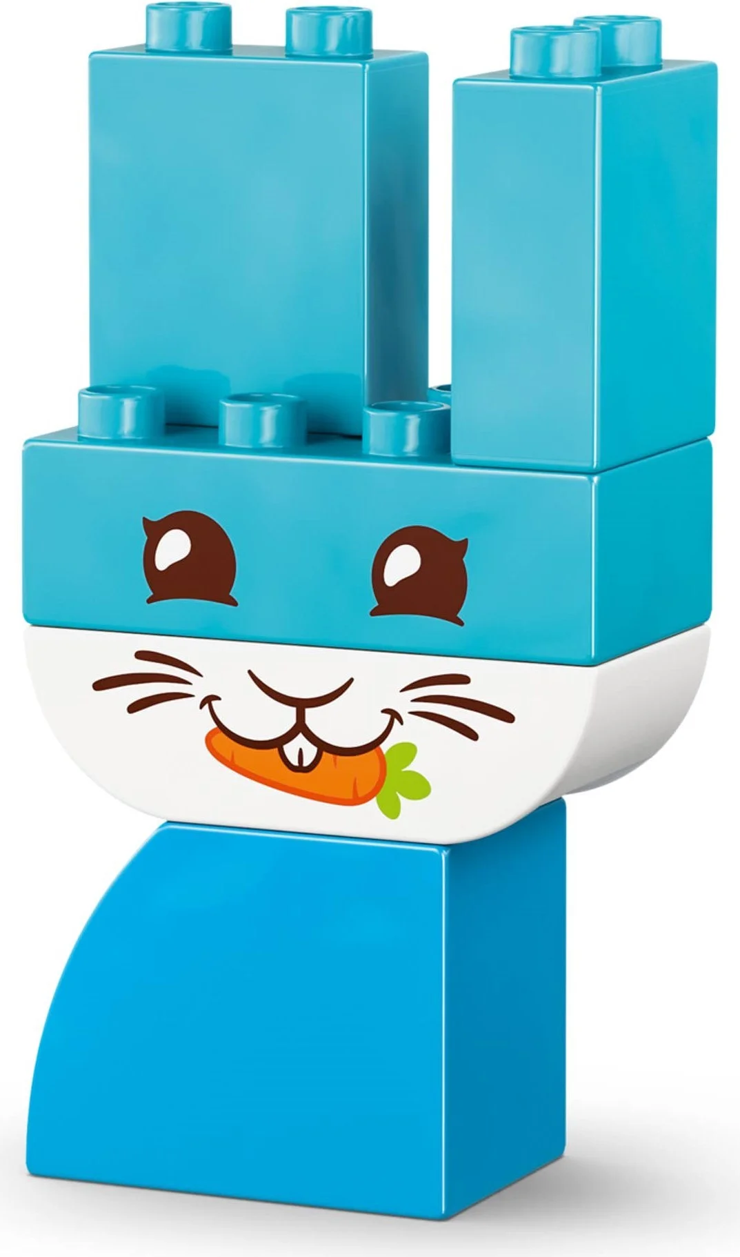 LEGO® 10477 Kreatywne zwierzaki 3 w 1 - zdjęcie 34