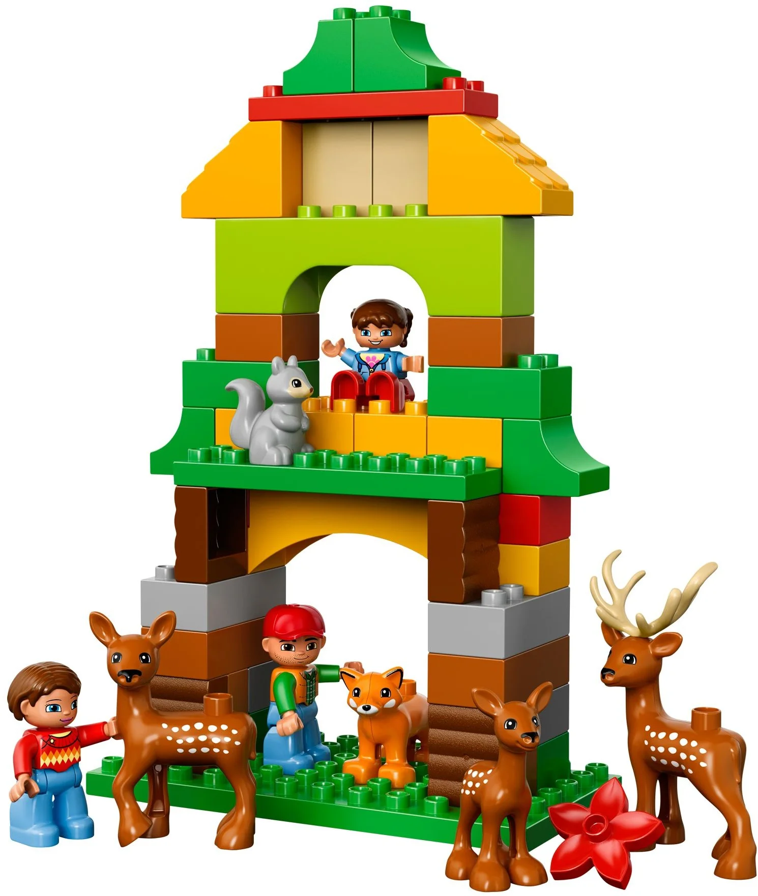 LEGO® 10584 Leśny Park - zdjęcie 4