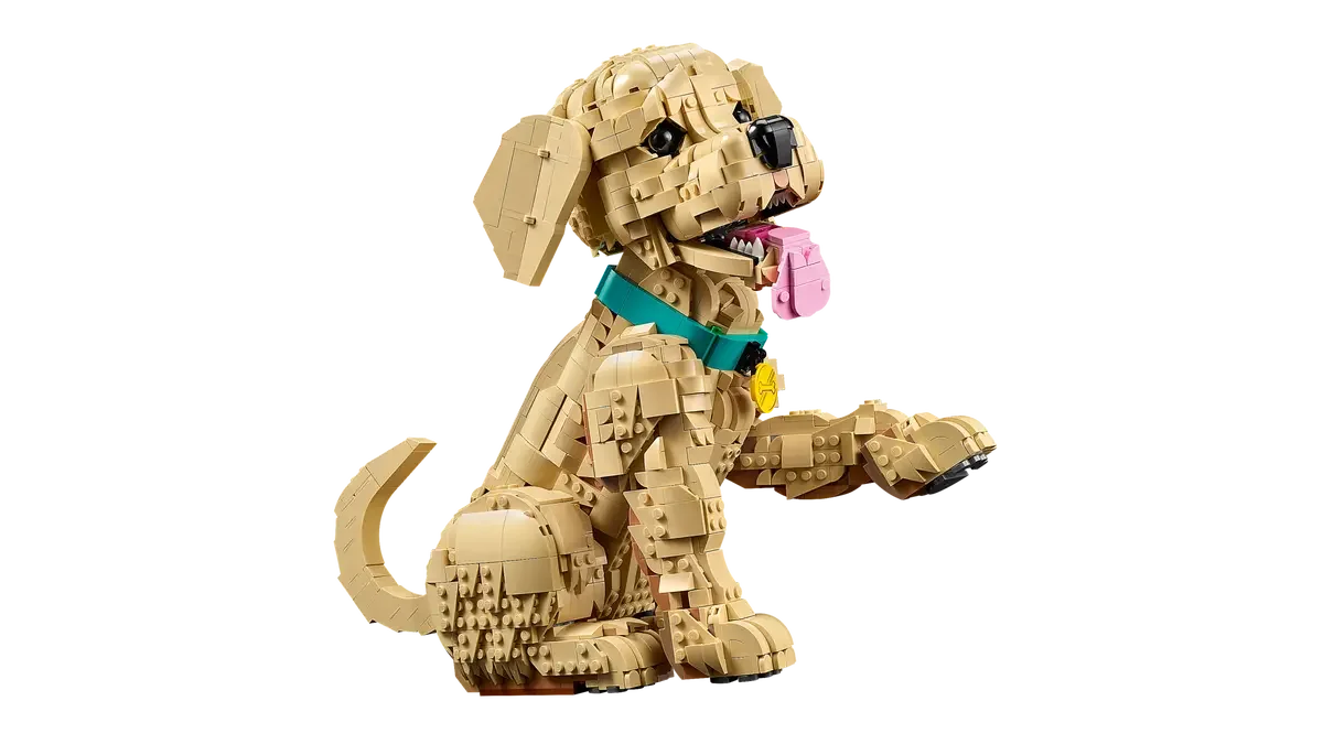LEGO® 11384 Golden Retriever Puppy Szczeniak golden retriever - zdjęcie 4