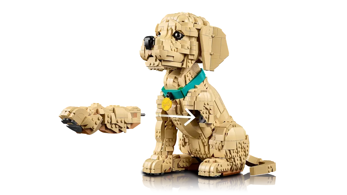 LEGO® 11384 Golden Retriever Puppy Szczeniak golden retriever - zdjęcie 7