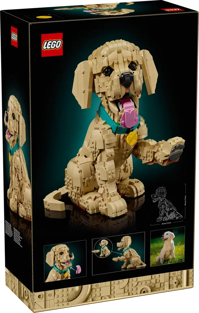 LEGO® 11384 Golden Retriever Puppy Szczeniak golden retriever - zdjęcie 8