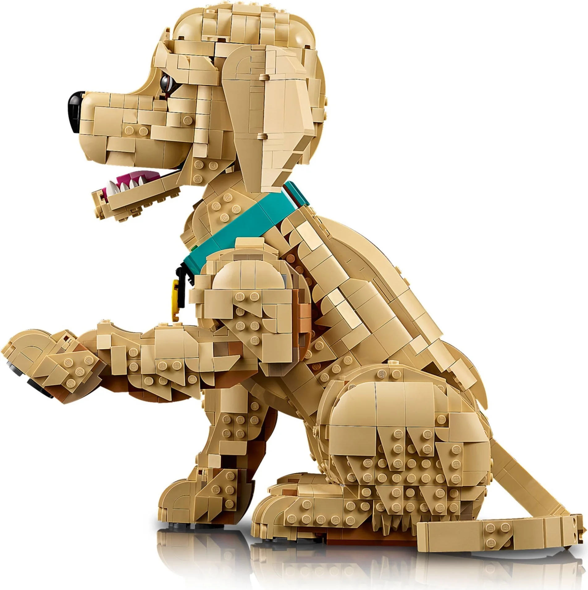LEGO® 11384 Golden Retriever Puppy Szczeniak golden retriever - zdjęcie 22