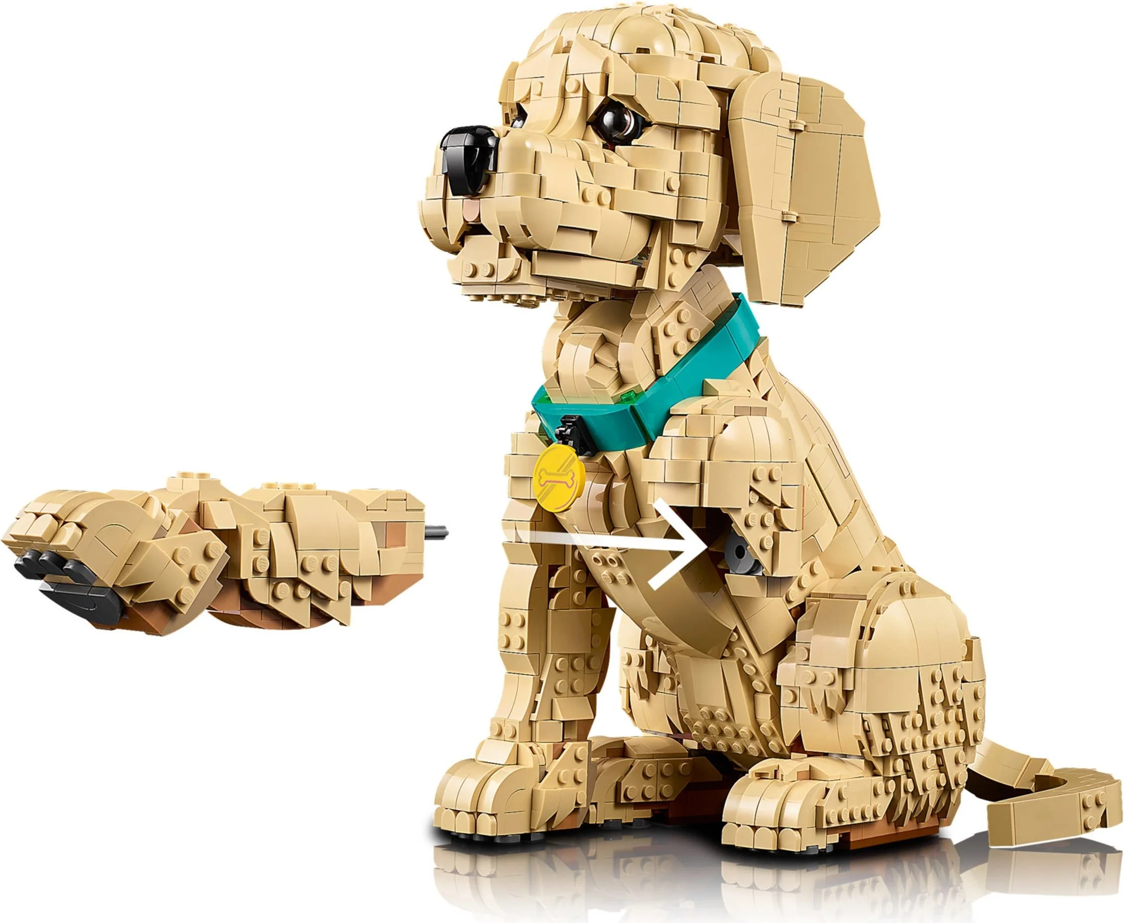 LEGO® 11384 Golden Retriever Puppy Szczeniak golden retriever - zdjęcie 24