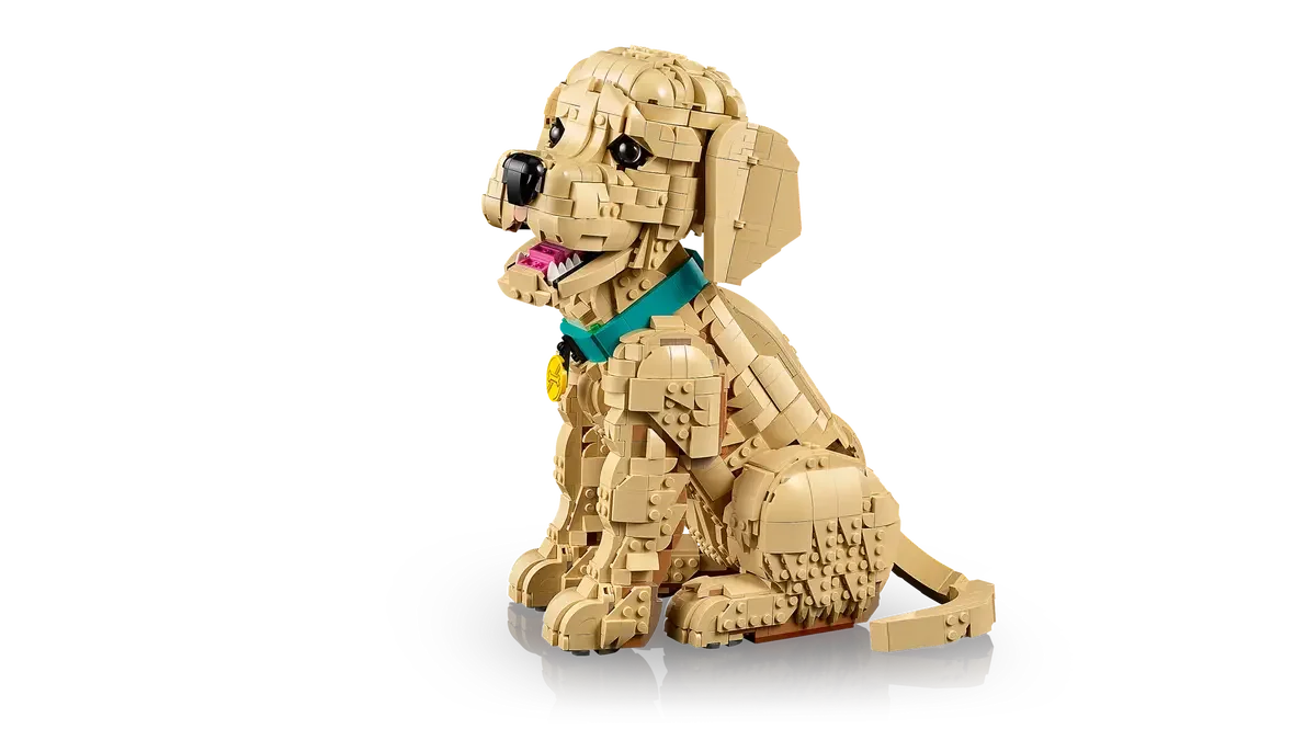 LEGO® 11384 Golden Retriever Puppy Szczeniak golden retriever - zdjęcie 28