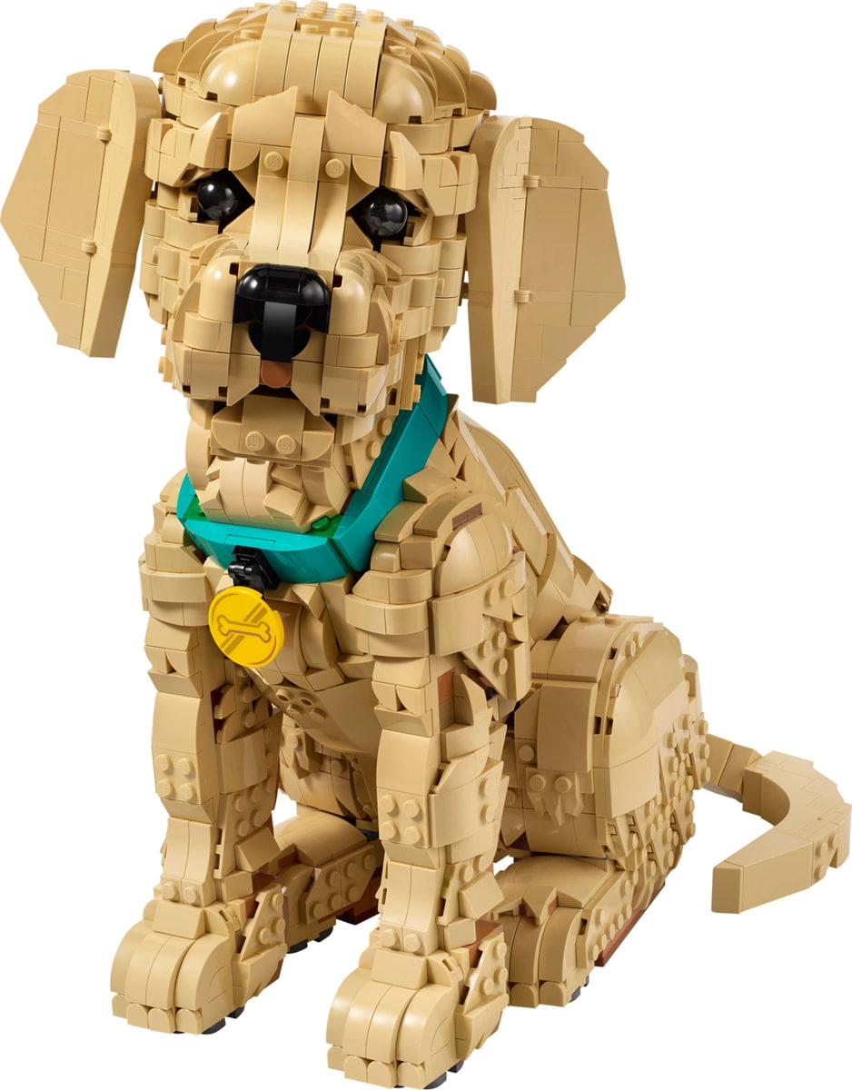 LEGO® 11384 Szczeniak golden retriever - zdjęcie 24