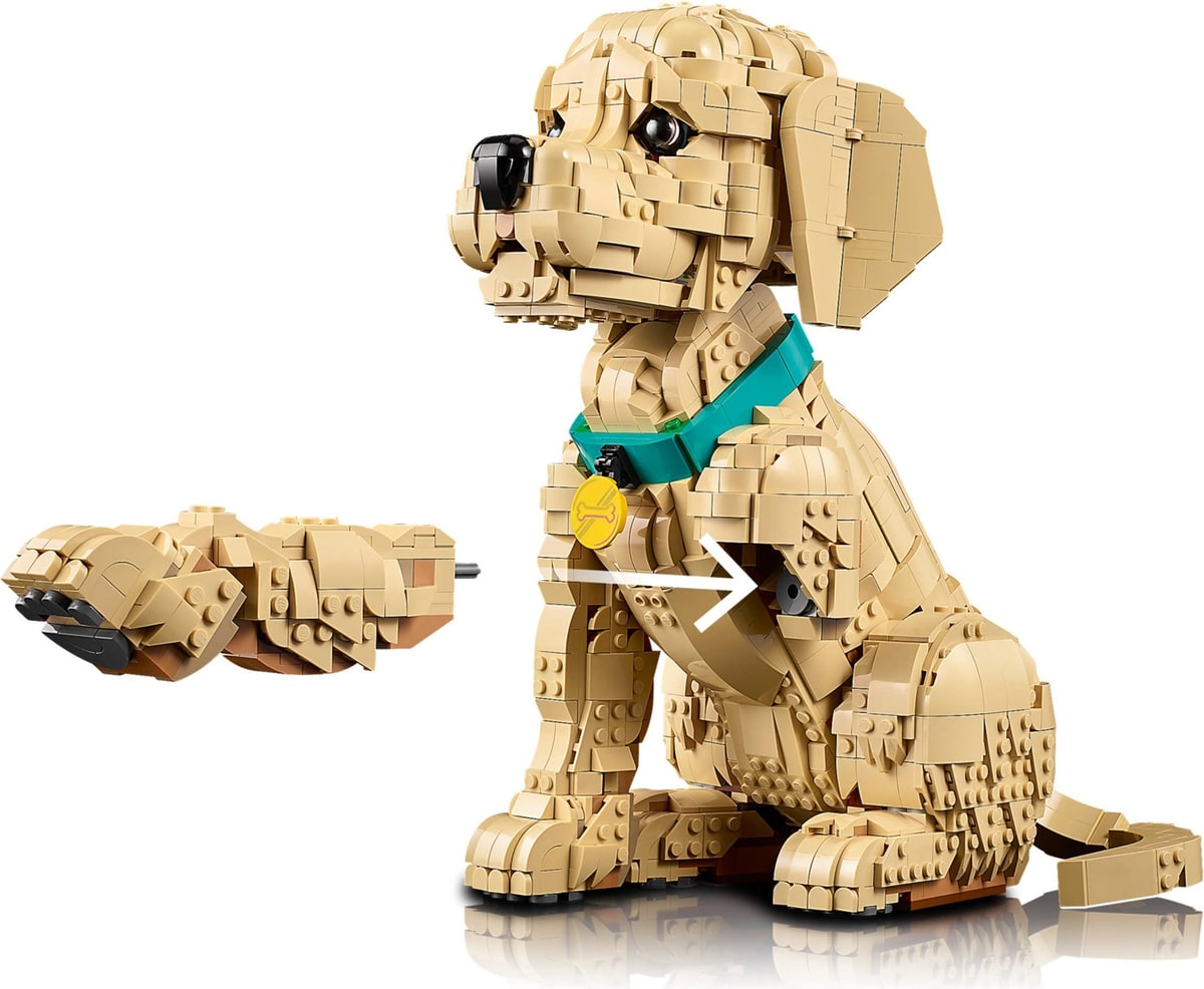 LEGO® 11384 Szczeniak golden retriever - zdjęcie 34