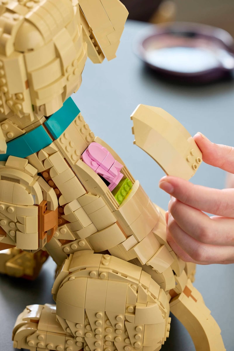 LEGO® 11384 Szczeniak golden retriever - zdjęcie 10