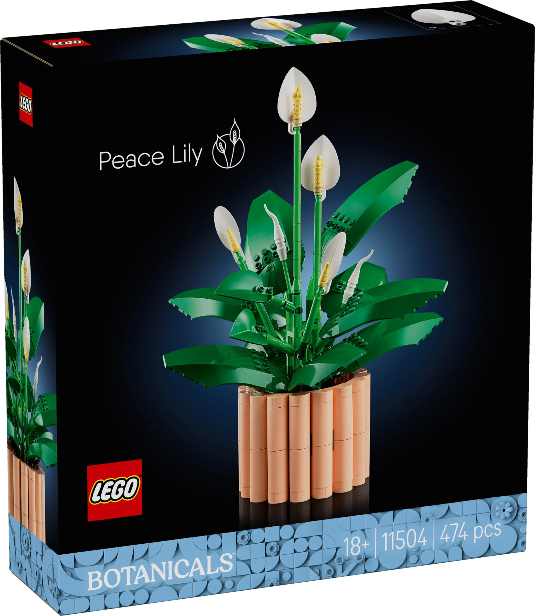 LEGO® 11504 Icons Skrzydłokwiat