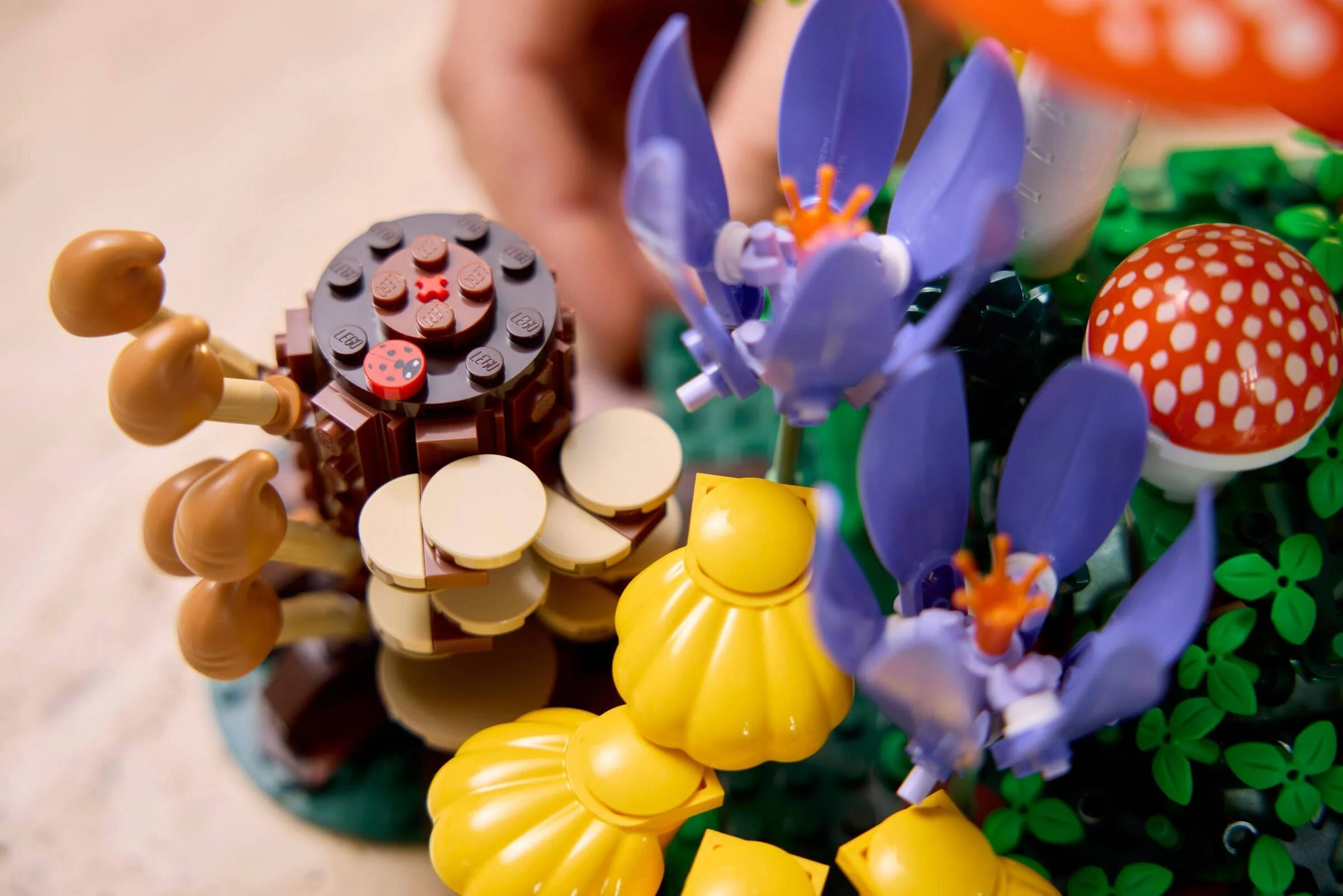 LEGO® 11505 Grzyby leśne - zdjęcie 16