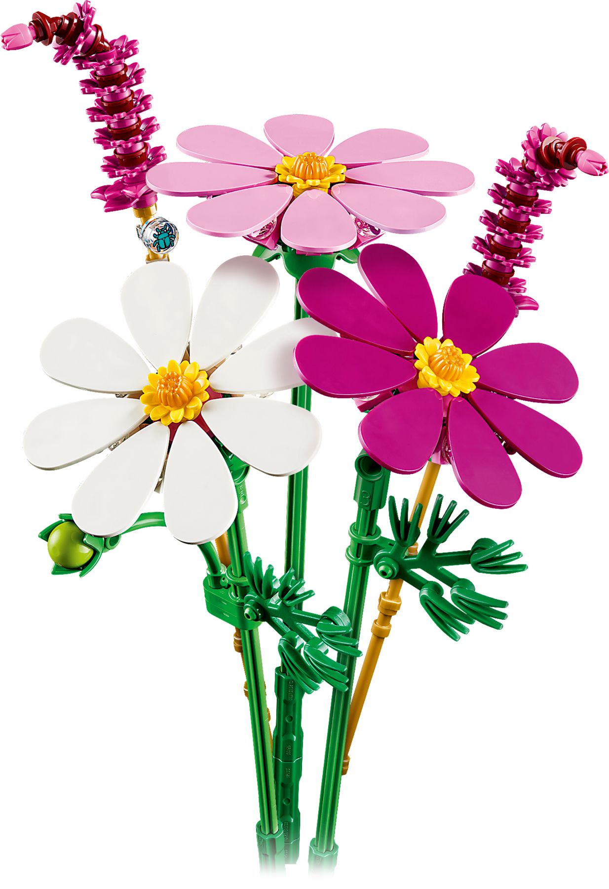 Botanicals Kosmosy 11514