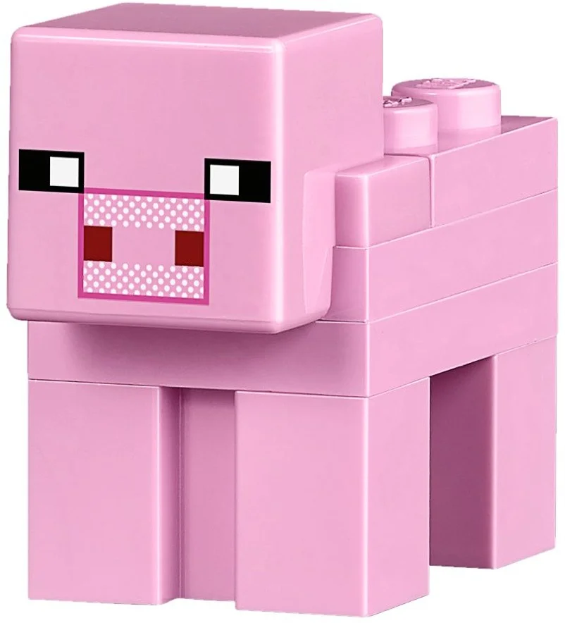 LEGO® 21133 Chatka czarownicy - zdjęcie 12