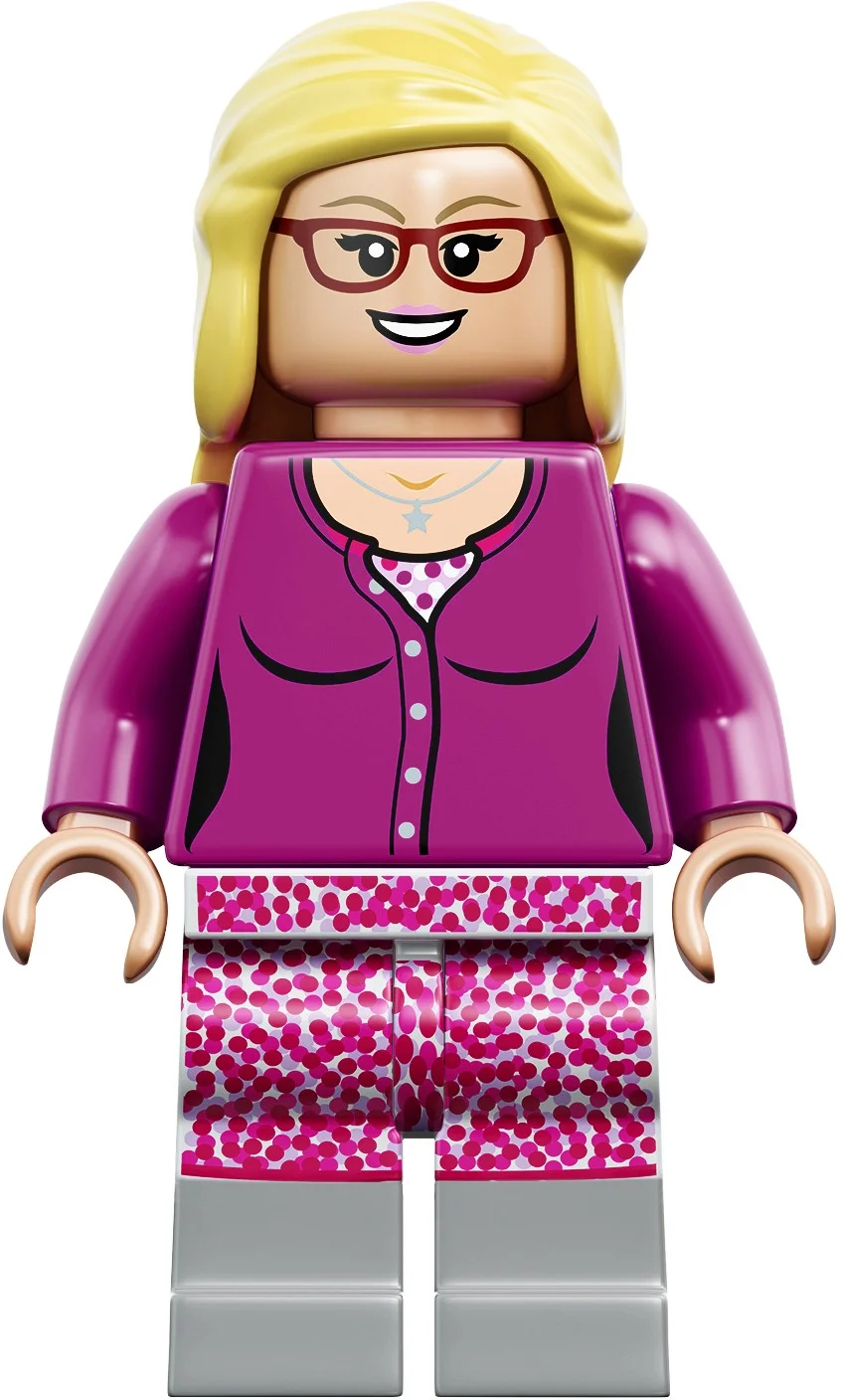 LEGO® 21302 The Big Bang Theory Teoria Wielkiego Podrywu Nowe - zdjęcie 15