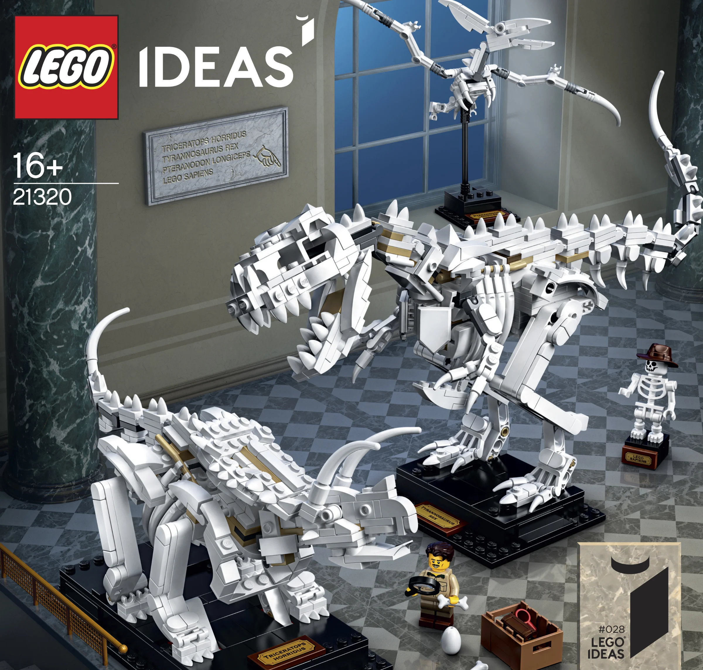 LEGO® 21320 sam szkielet Pteranodona+opis - zdjęcie 4