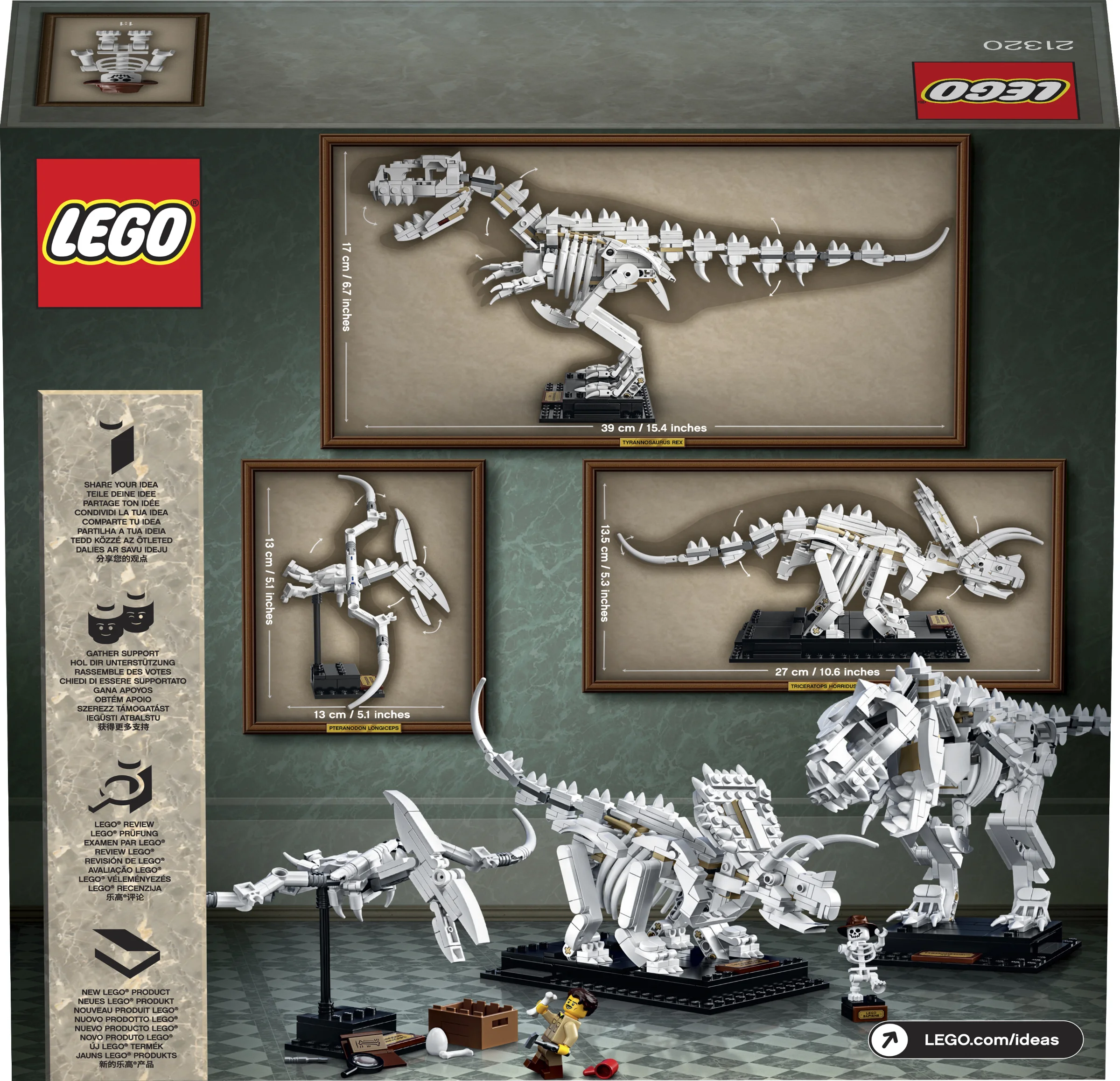 LEGO® 21320 sam szkielet Pteranodona+opis - zdjęcie 5