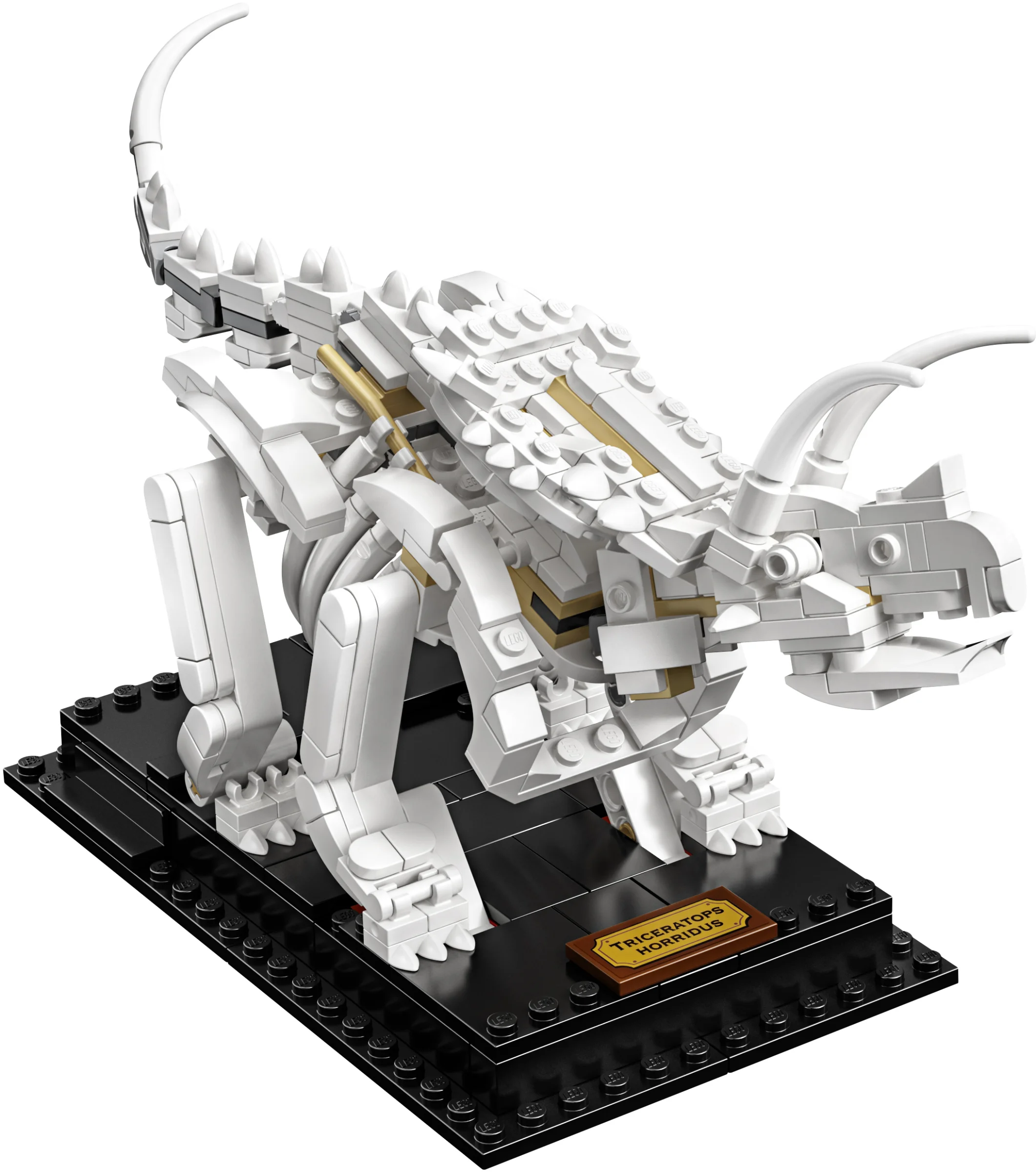 LEGO® 21320 sam szkielet Pteranodona+opis - zdjęcie 6