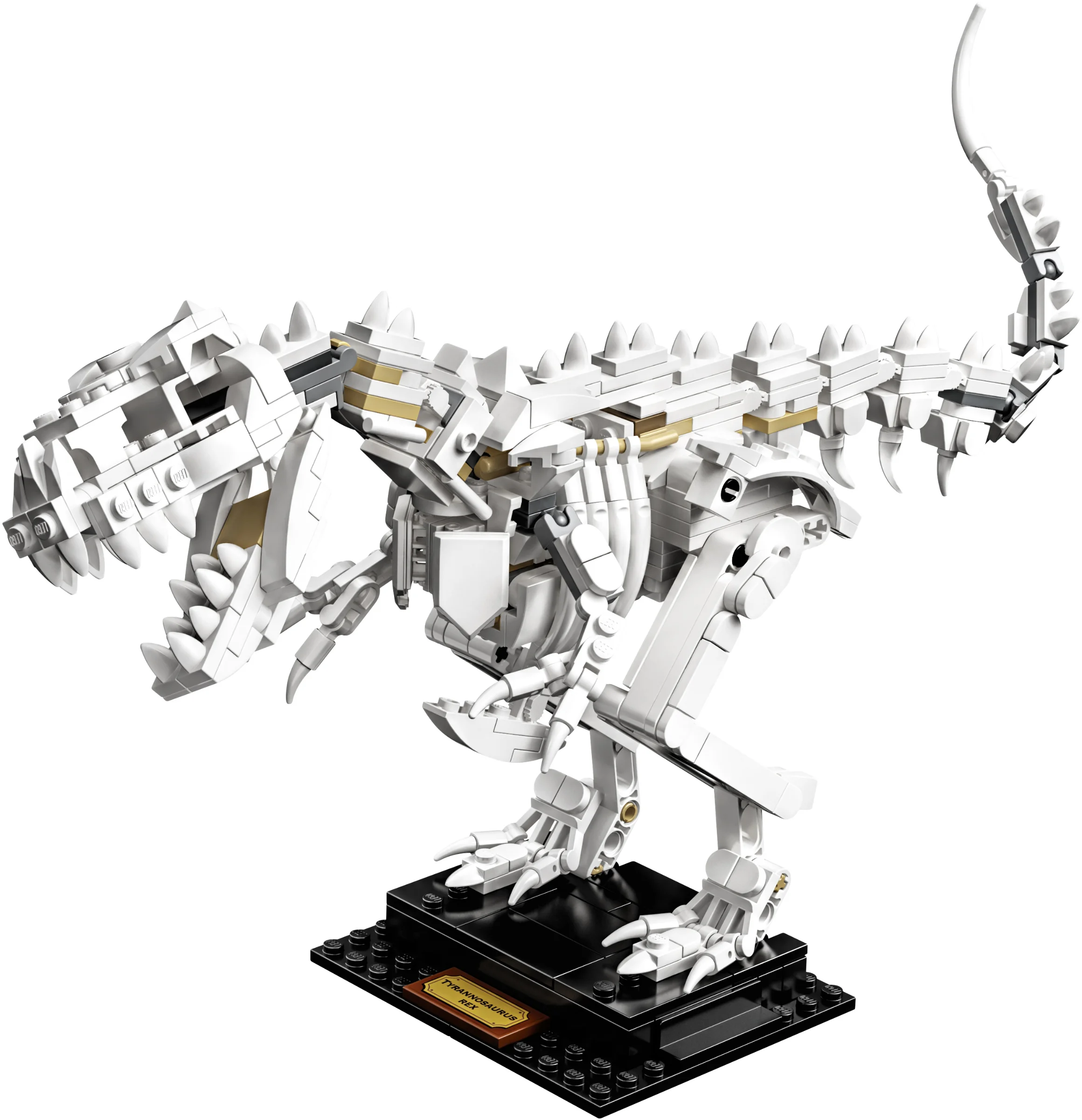 LEGO® 21320 sam szkielet Pteranodona+opis - zdjęcie 7