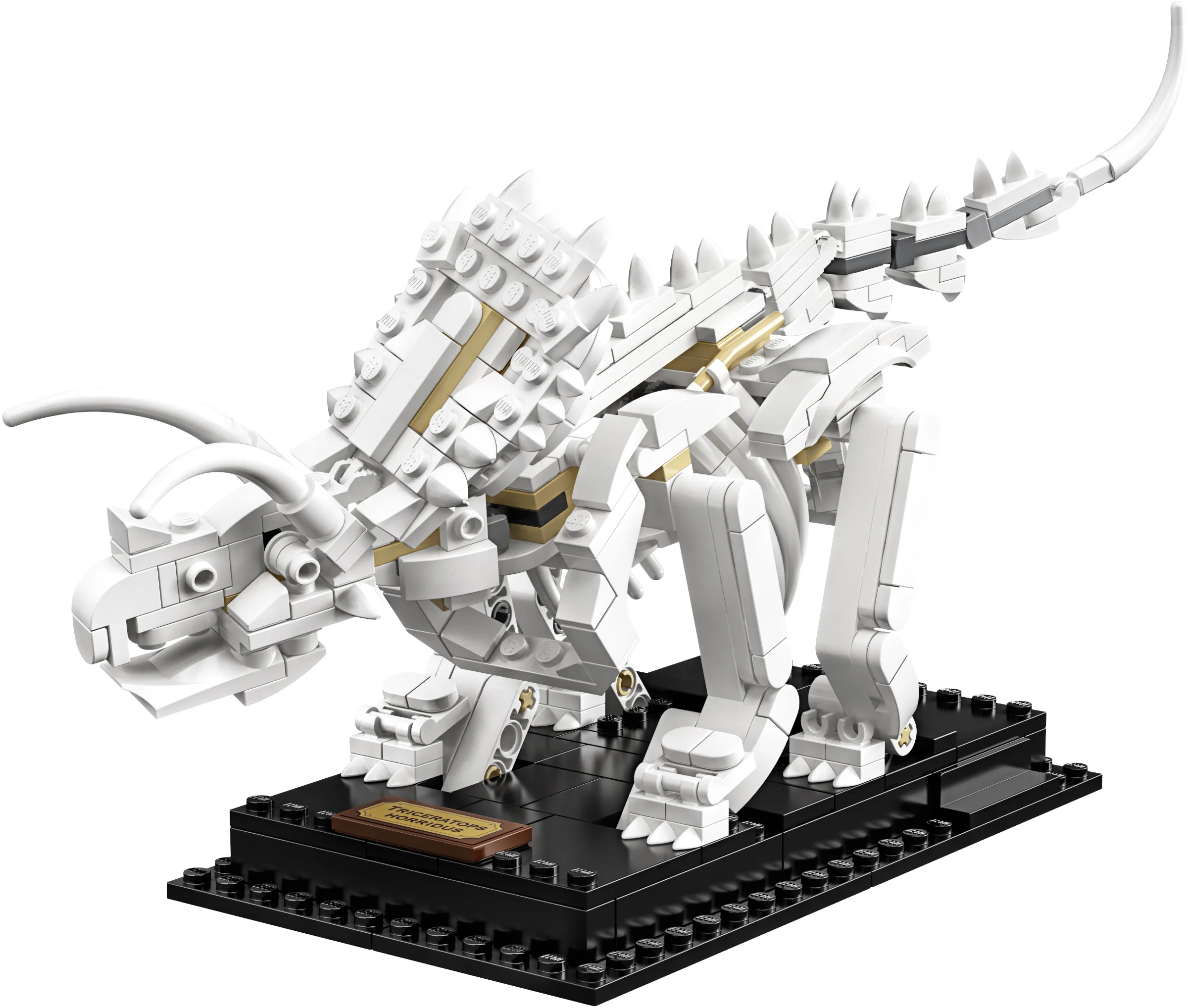LEGO® 21320 sam szkielet Pteranodona+opis - zdjęcie 14