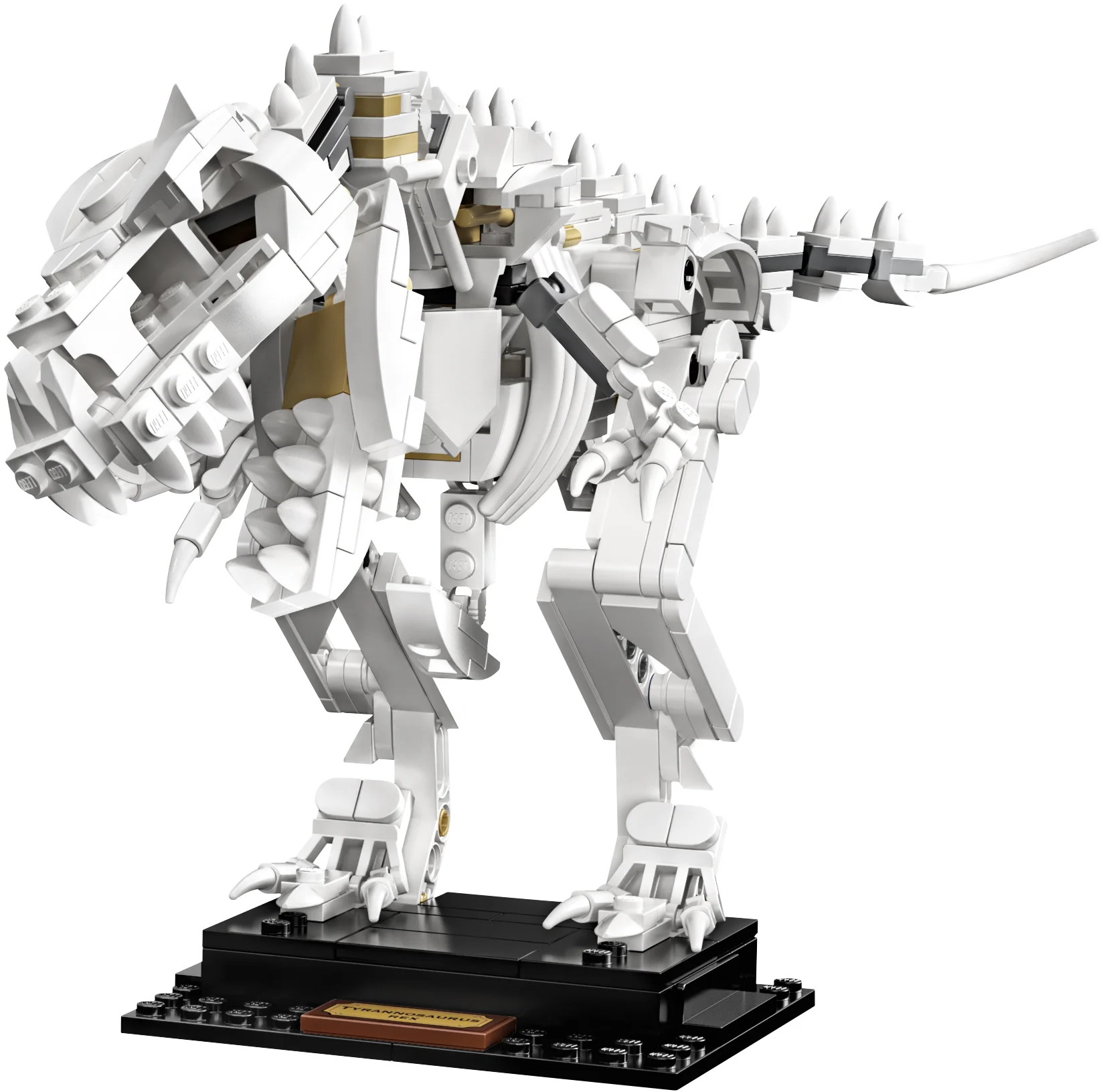 LEGO® 21320 sam szkielet Pteranodona+opis - zdjęcie 15