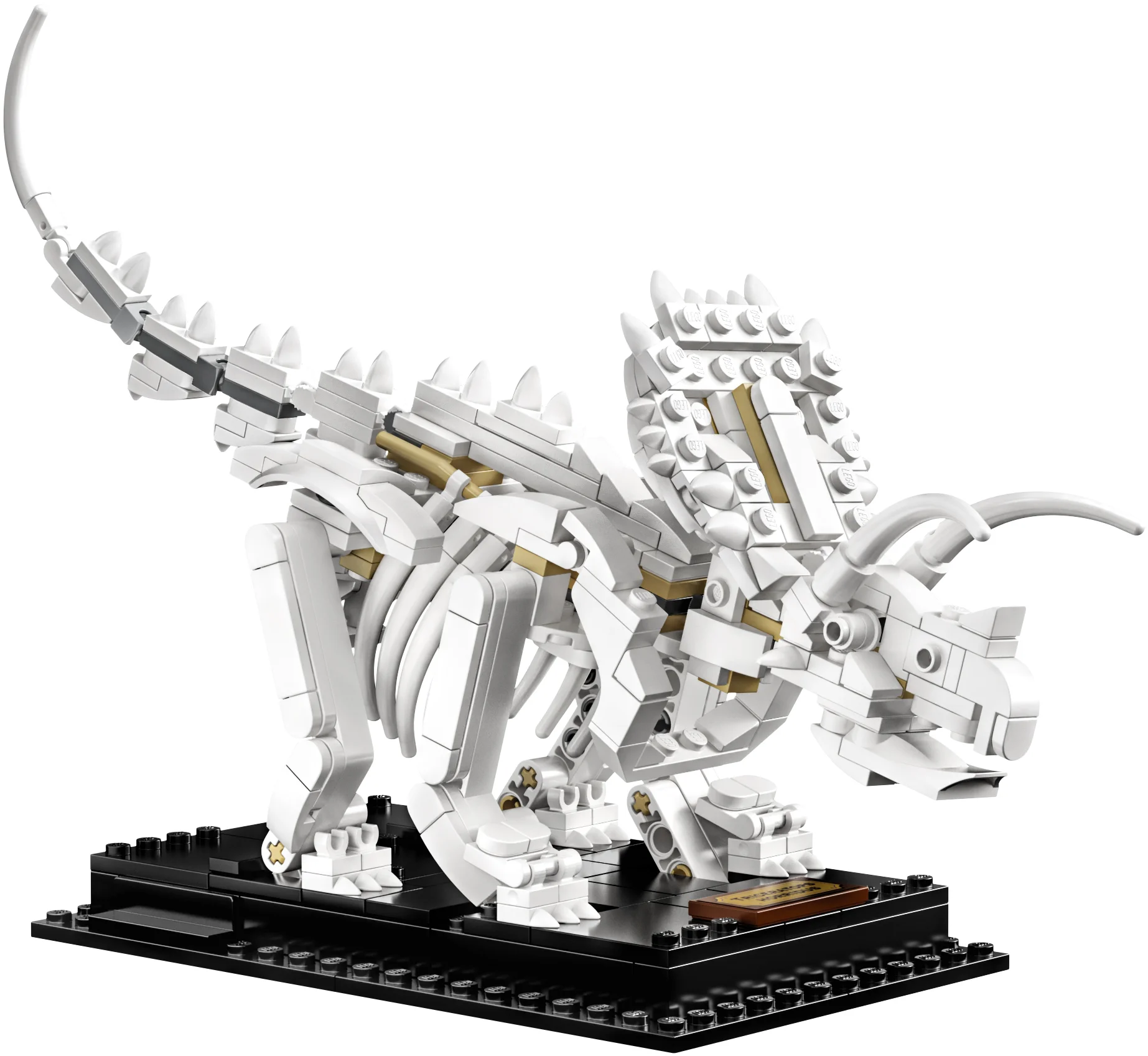 LEGO® 21320 sam szkielet Pteranodona+opis - zdjęcie 16