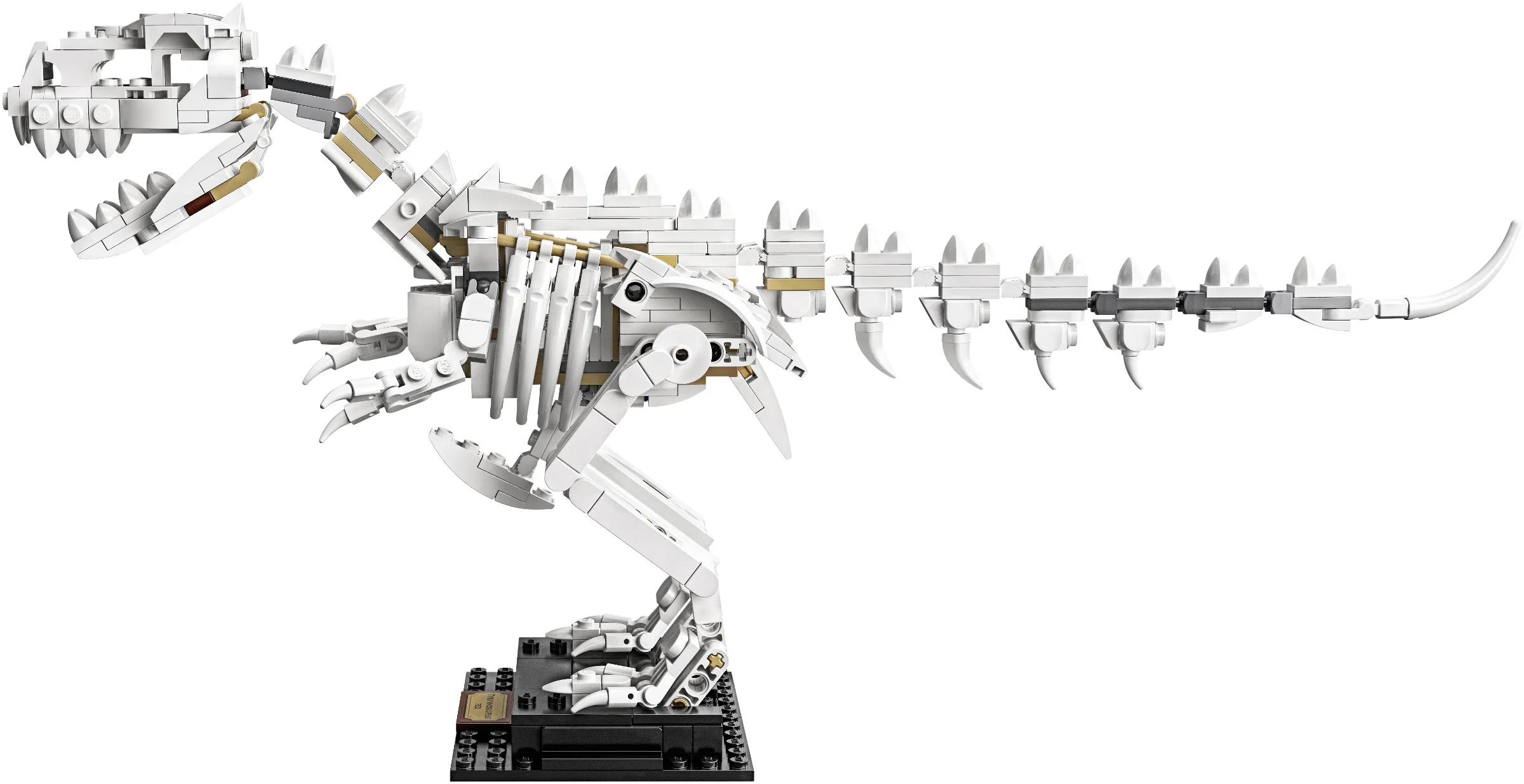 LEGO® 21320 sam szkielet Pteranodona+opis - zdjęcie 20