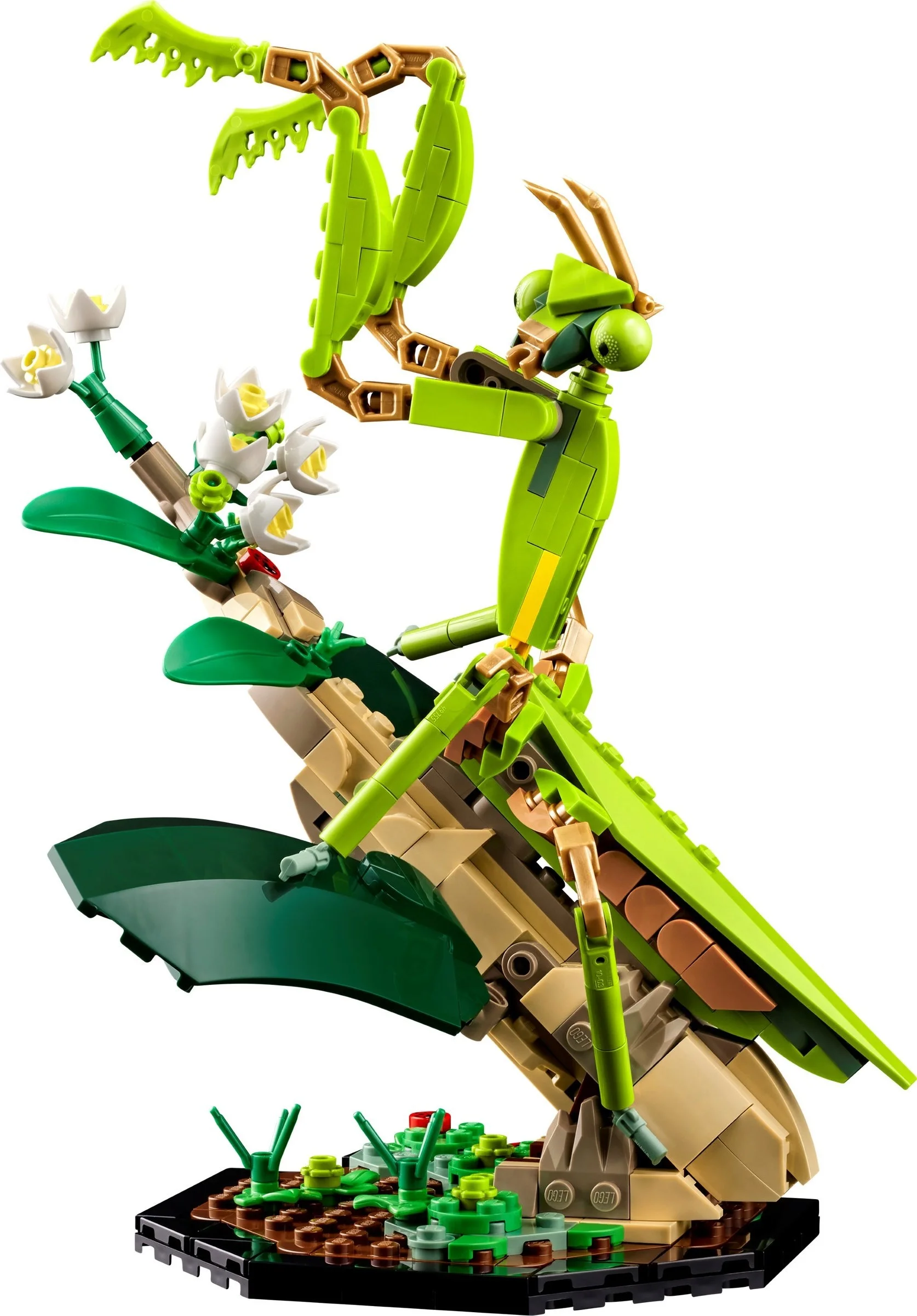 LEGO® 21342 Kolekcja owadów - zdjęcie 4
