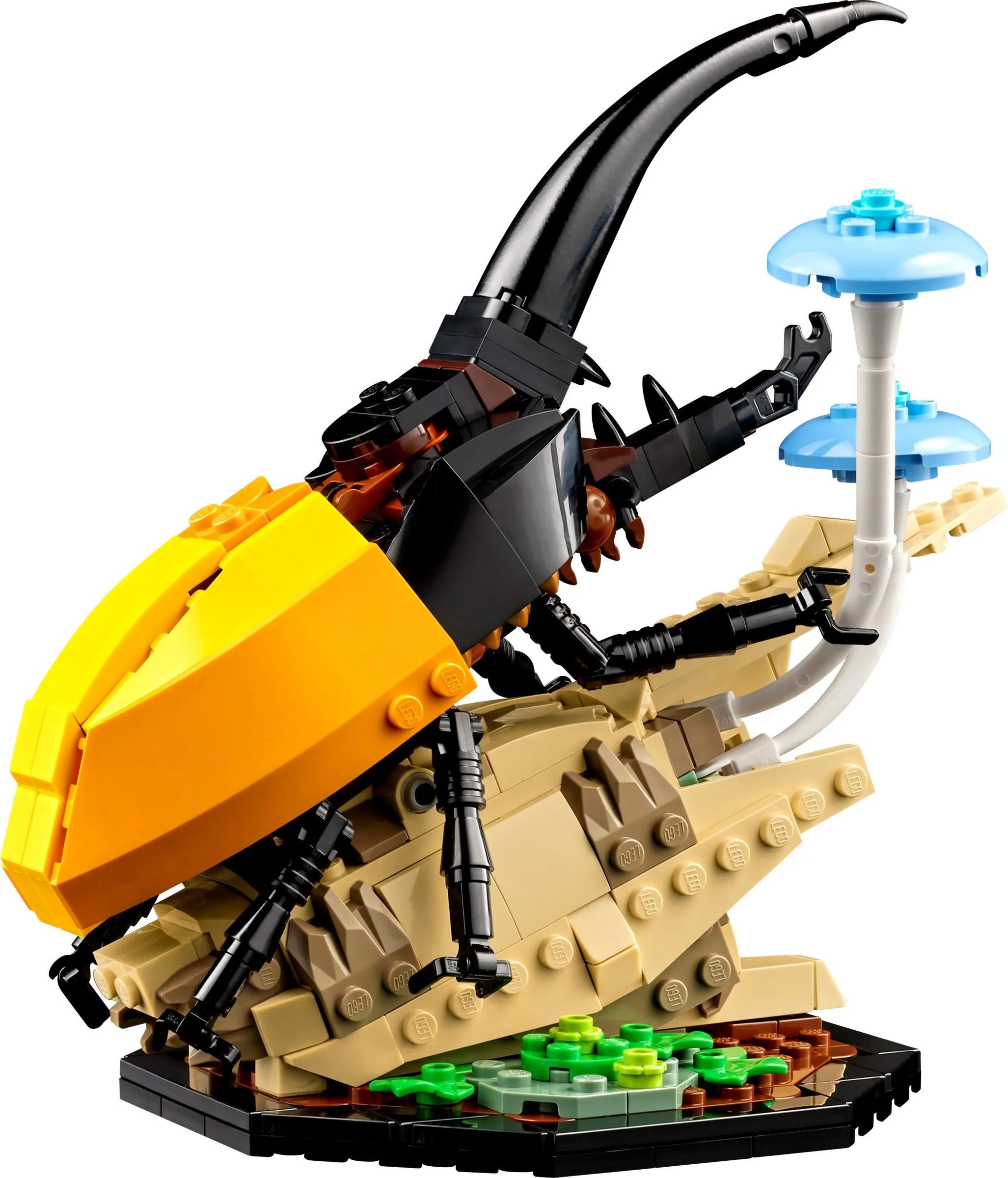 LEGO® 21342 Kolekcja owadów - zdjęcie 5