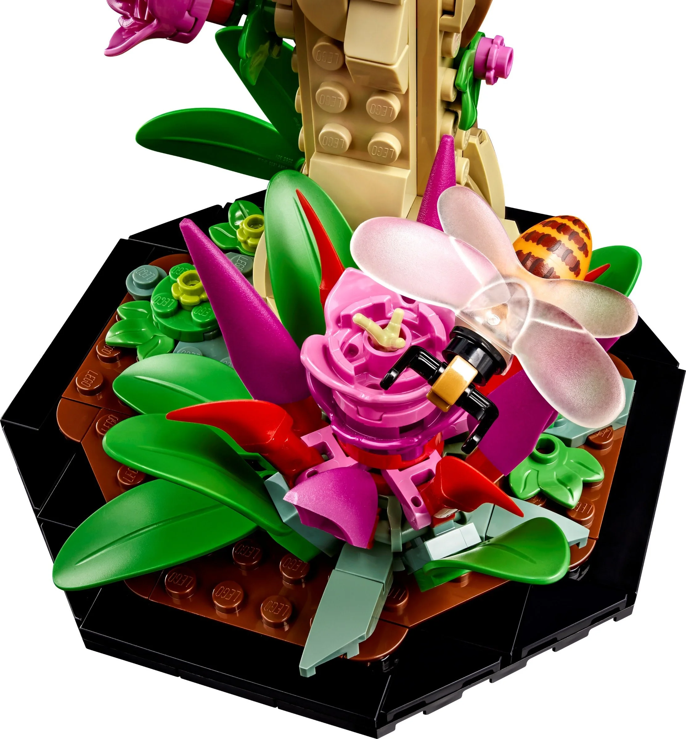 LEGO® 21342 Kolekcja owadów - zdjęcie 6
