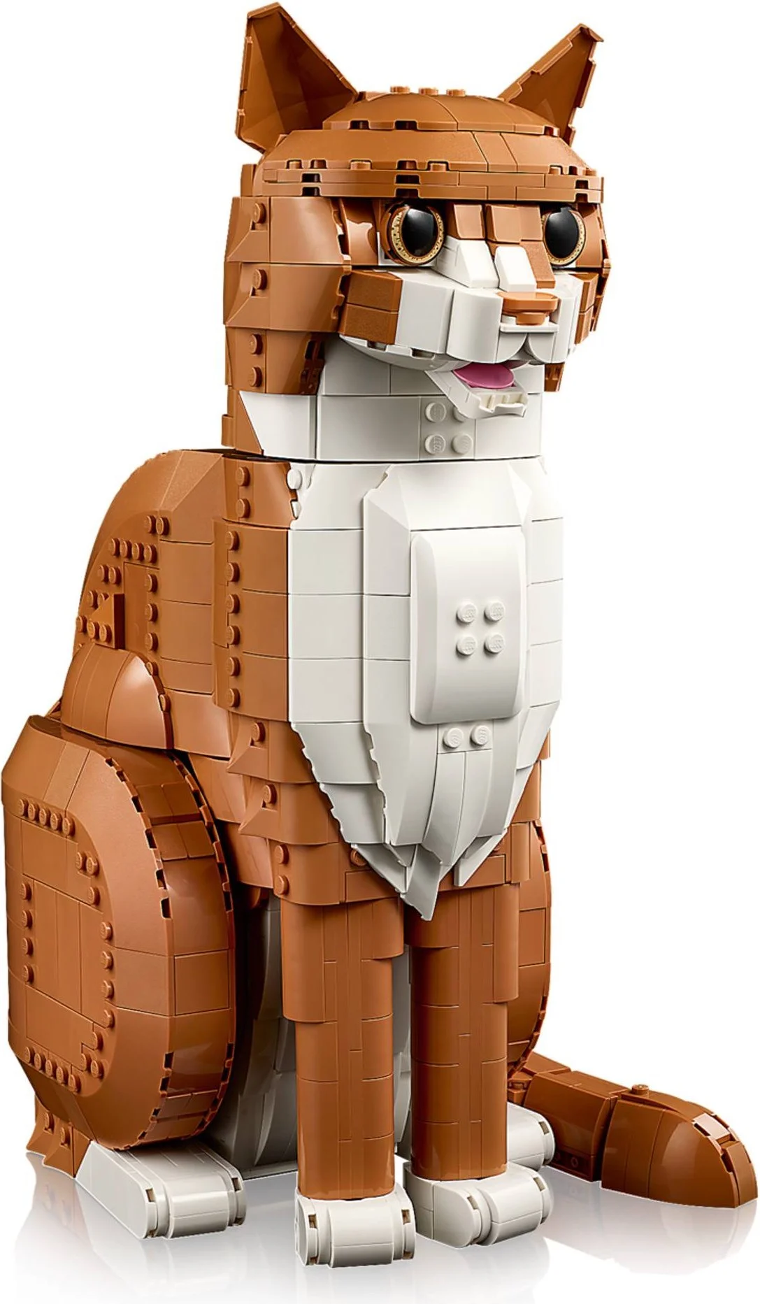 LEGO® 21376 Rudy kot - zdjęcie 26