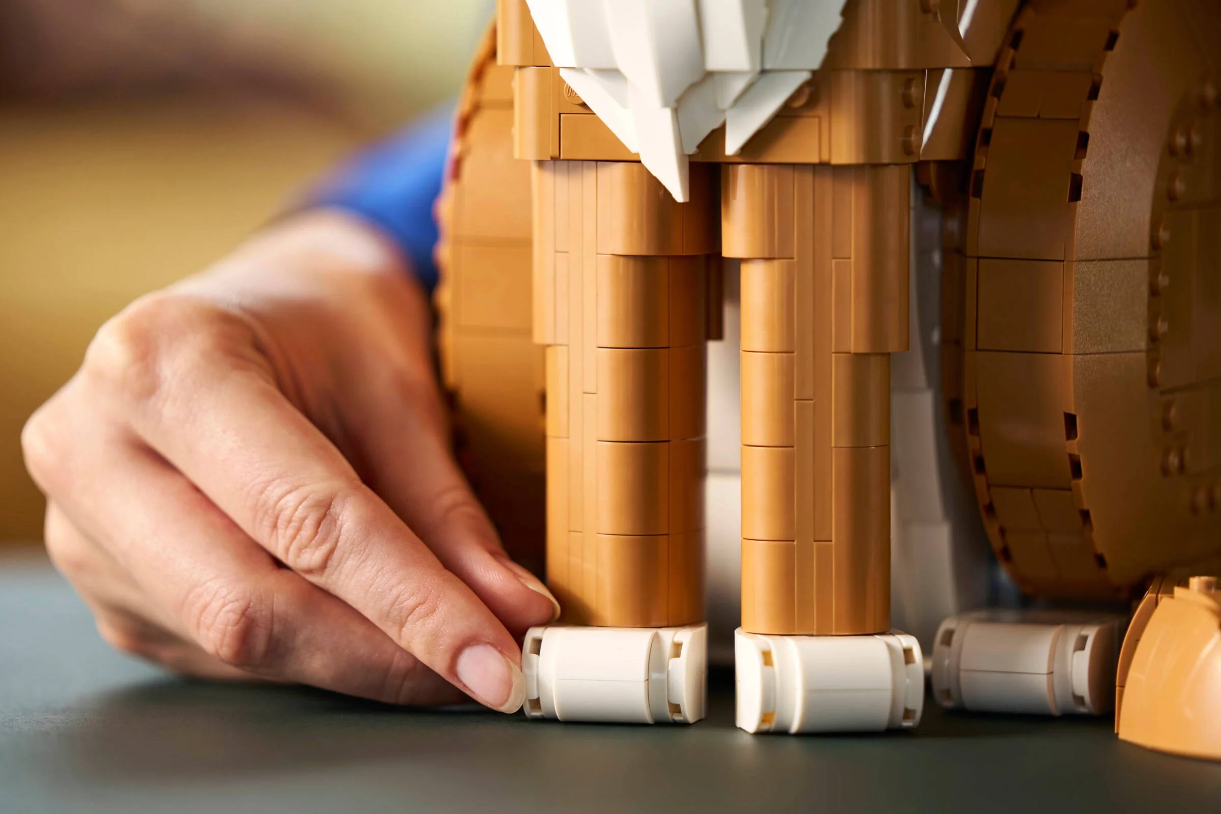 LEGO® 21376 Rudy kot - zdjęcie 14