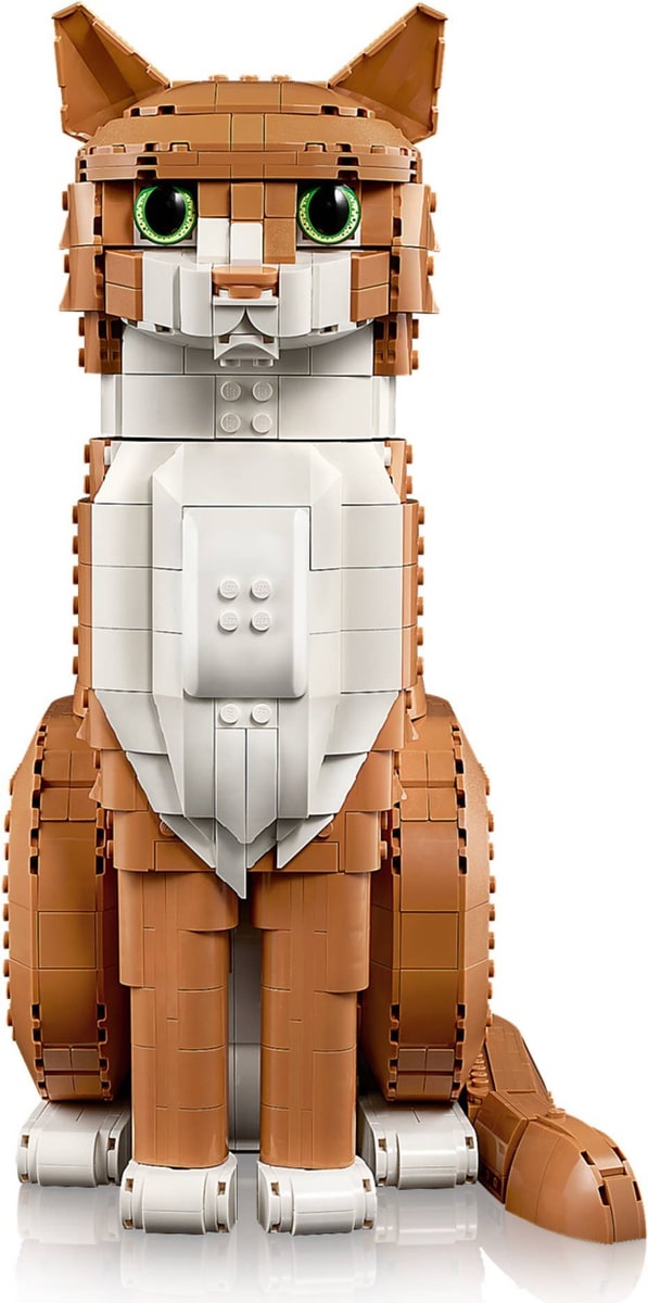 LEGO® 21376 Rudy kot - zdjęcie 25