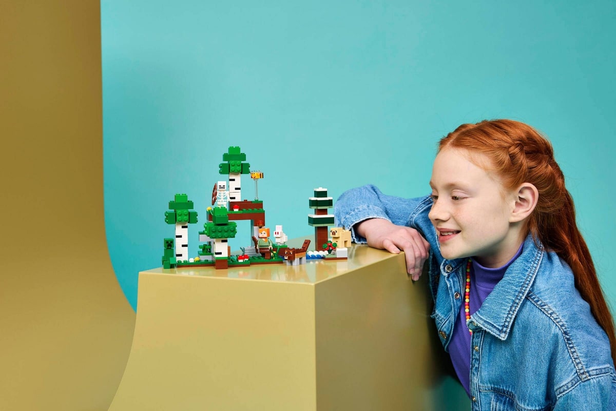 LEGO® 21593 Przetrwanie pierwszej nocy - zdjęcie 17