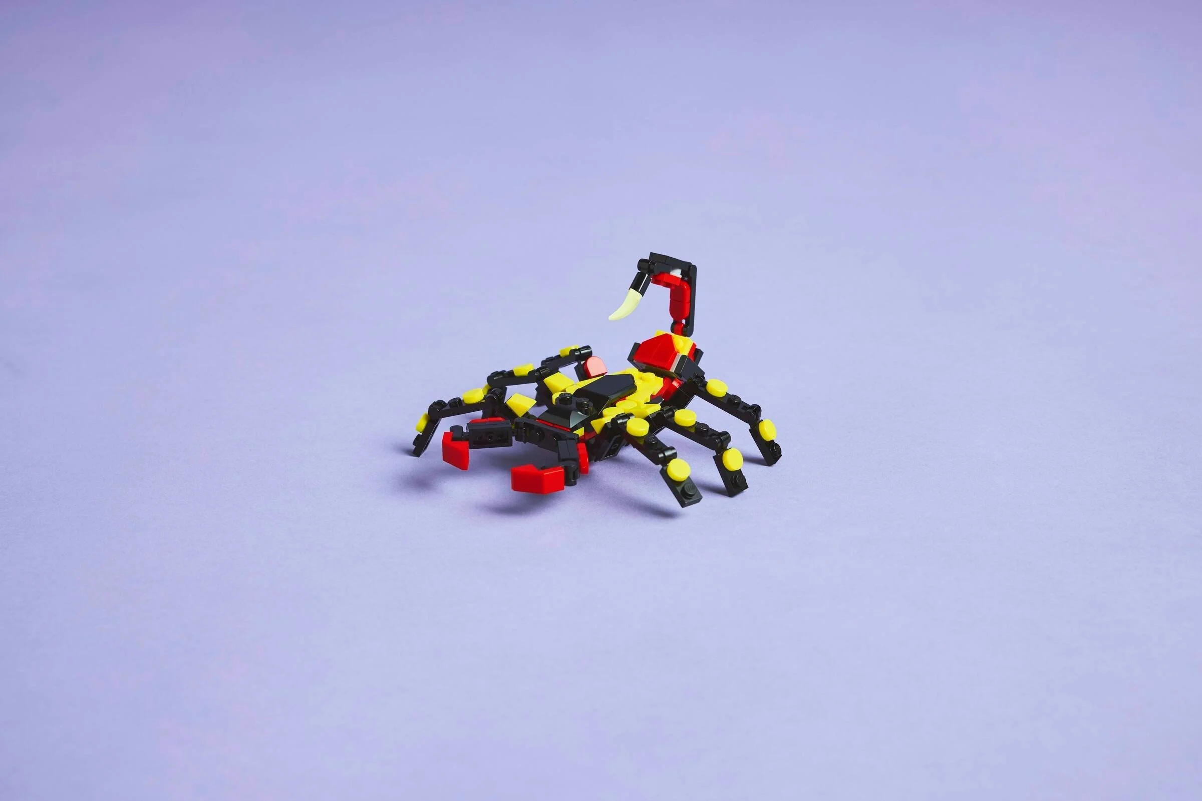 LEGO® 31159 Dzikie zwierzęta: niezwykły pająk - zdjęcie 9