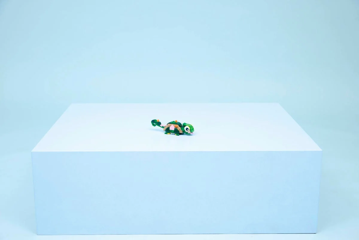 LEGO® 31377 Żółw i kwiat lilii wodnej - zdjęcie 23
