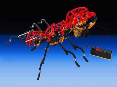 Ant