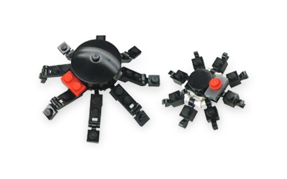 Spiders Set