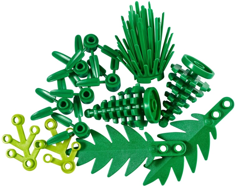 Creator Plants From Plants