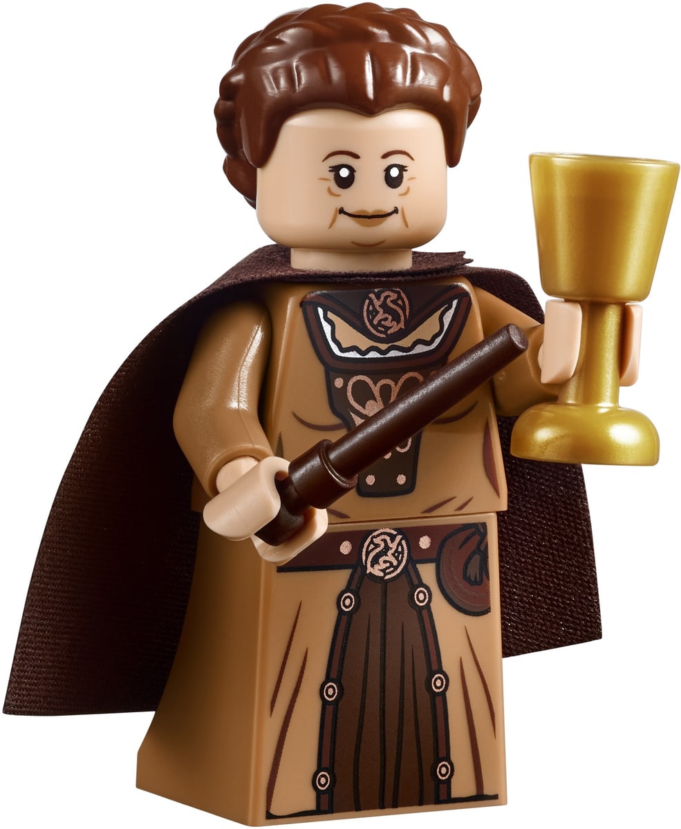 LEGO® 71043 Zamek Hogwart - zdjęcie 41