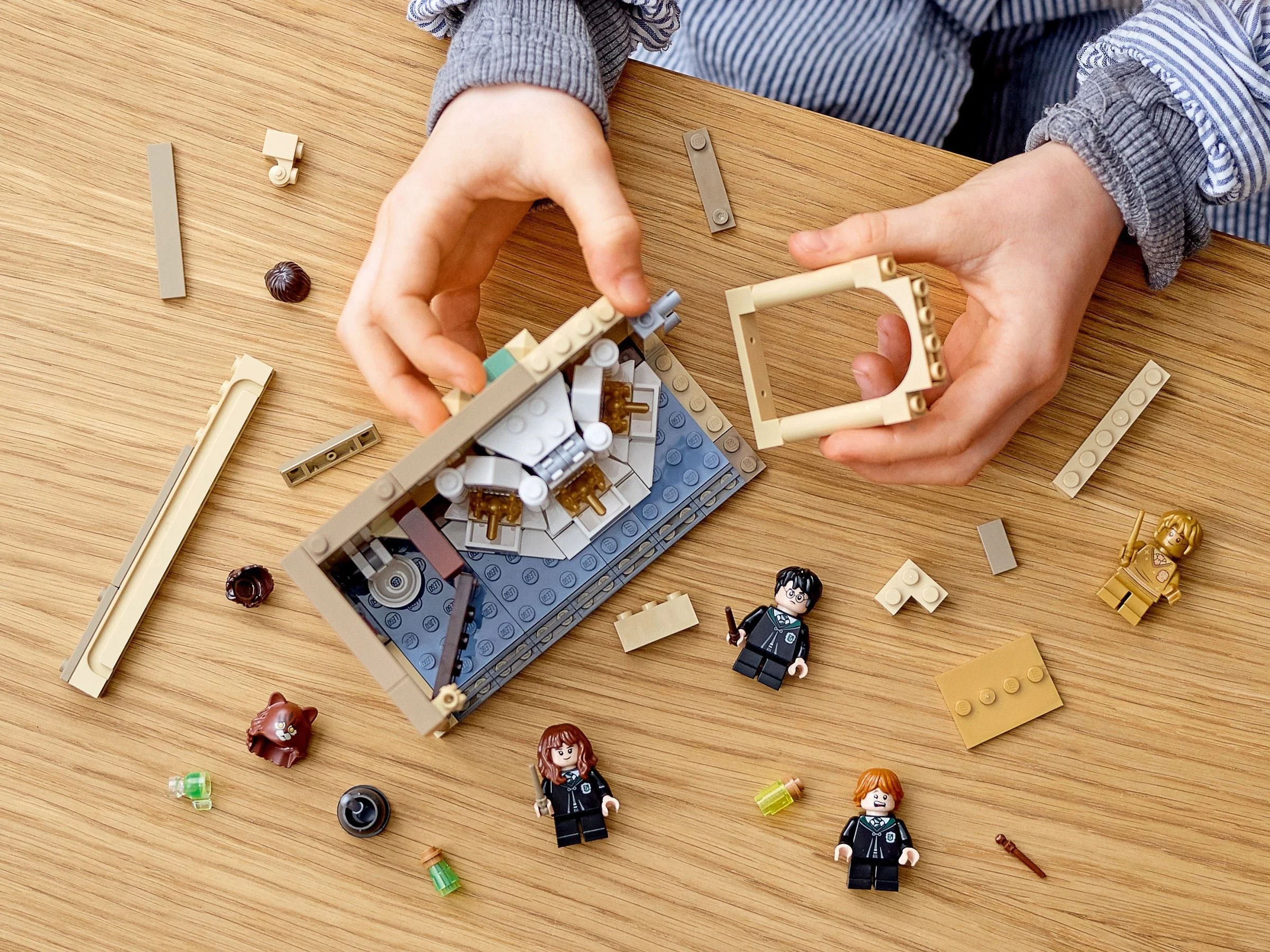 LEGO® 76386 Hogwart™: pomyłka z eliksirem wielosokowym - zdjęcie 8