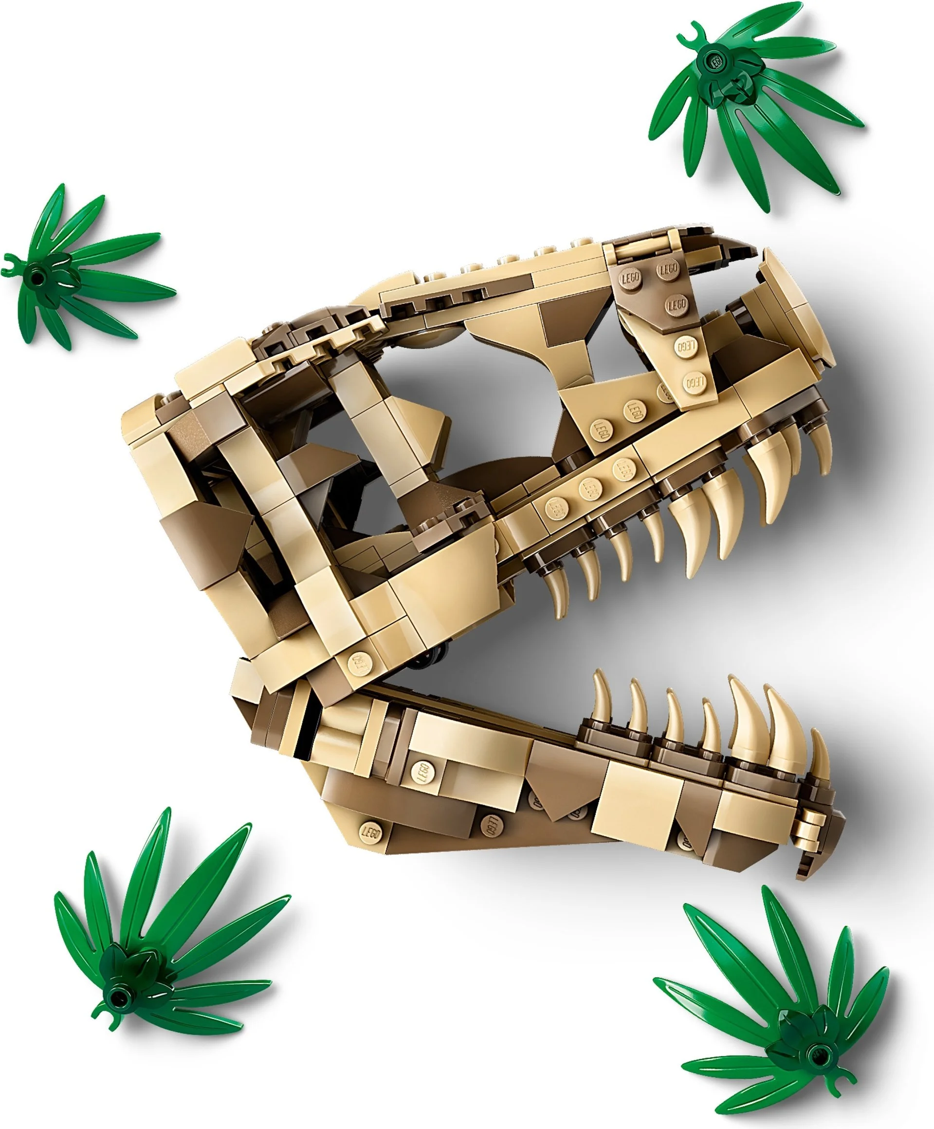 LEGO® 76964 Czaszka Tyranozaura Szkielety Dinozaurów - zdjęcie 3