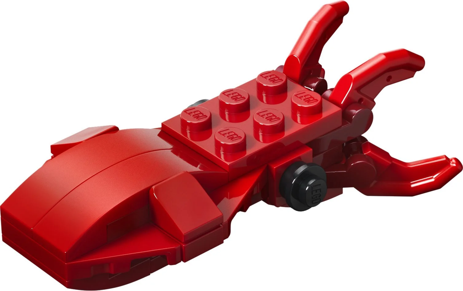 LEGO® 77977 Mały dinozaur: Pteranodon - zdjęcie 12